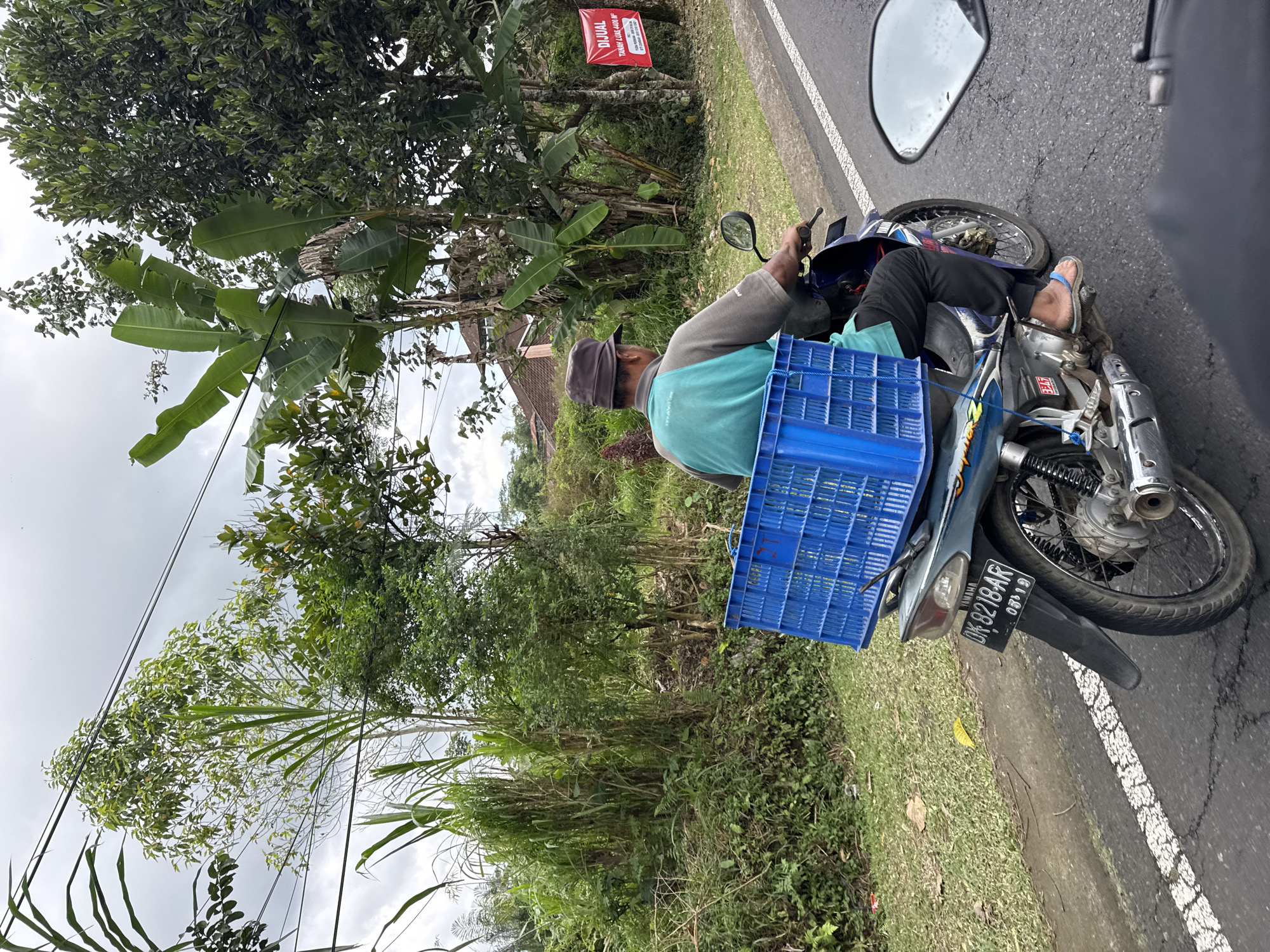 A person is riding a motorcycle along a paved road bordered by lush green vegetation and trees. The rider, wearing a cap and a t-shirt with a turquoise neckline, is carrying a bright blue plastic crate behind them, attached to the back of the motorcycle. The crate is empty. The motorcycle has a license plate that reads "DK 8218 AR". In the background, there are houses with red roofs nestled amongst the trees. A red sign with white text, "DIJUAL TANAH LUAS 400 M", which translates to "FOR SALE LAND 400 SQM", is hanging from a tree. The sky appears overcast, suggesting a cloudy day. The scene suggests a rural or semi-rural setting in Bangli, Indonesia, likely during daylight hours.