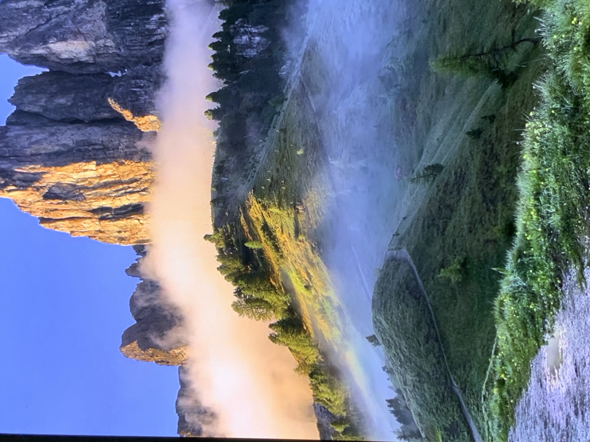The image depicts a mountainous landscape at sunrise. Jagged, sun-drenched rock formations rise dramatically against a clear blue sky. A band of soft, golden-pink clouds encircles the base of these peaks, creating a misty veil. Below the clouds, a verdant hillside is illuminated by the warm morning light, casting long shadows. Scattered evergreen trees dot the slopes, and a faint rainbow is visible in the mist lower down the mountain. A winding path is visible on the grassy slopes, leading the viewer's eye through the scene. The foreground shows a gravel path with patches of green grass and small yellow flowers, with a small puddle reflecting the light. The image does not contain any indication of the city of Stavropol, Russia, nor does it contain any people or specific objects that would place it in a city. It is a natural landscape scene.