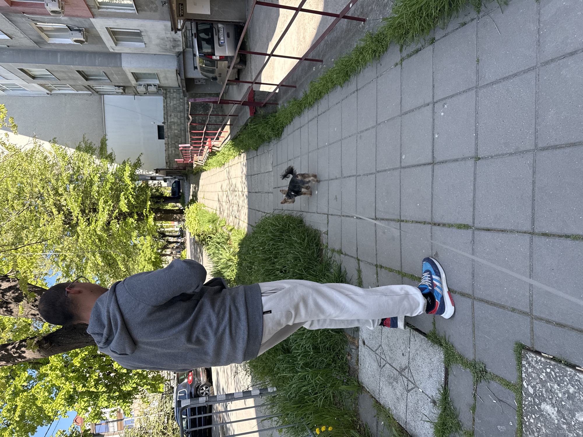 A man wearing a grey hoodie, white pants, and blue and red sneakers is walking a small dog on a leash. The dog is small and has a black and tan coat. They are on a sidewalk made of gray square tiles, with grass growing between the tiles and along the sides. A red metal railing runs along one side of the sidewalk. Behind the railing, there is a building and parked cars. Trees with green leaves are visible on the left side of the image. The location is Varna, Bulgaria based on the license plate visible on one of the cars.