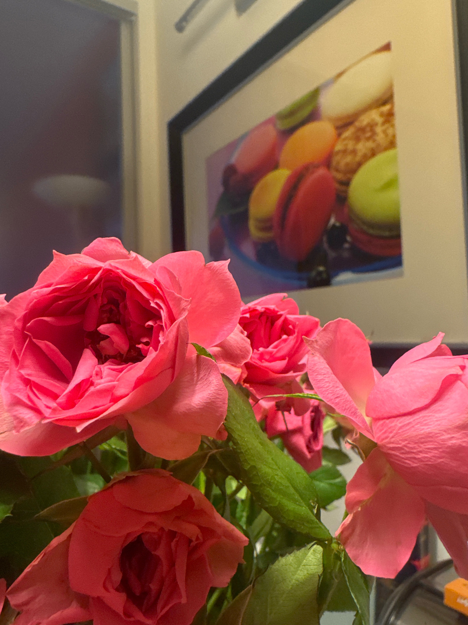A close-up, low-angle shot focuses on a bouquet of pink roses in the foreground, with their petals appearing delicate and slightly ruffled. The background features a framed picture of colorful macarons on a plate. The overall lighting suggests an indoor setting, possibly a home or a studio, with diffused light creating soft shadows. There is no discernible presence of Almaty, Kazakhstan, or any specific urban environment.