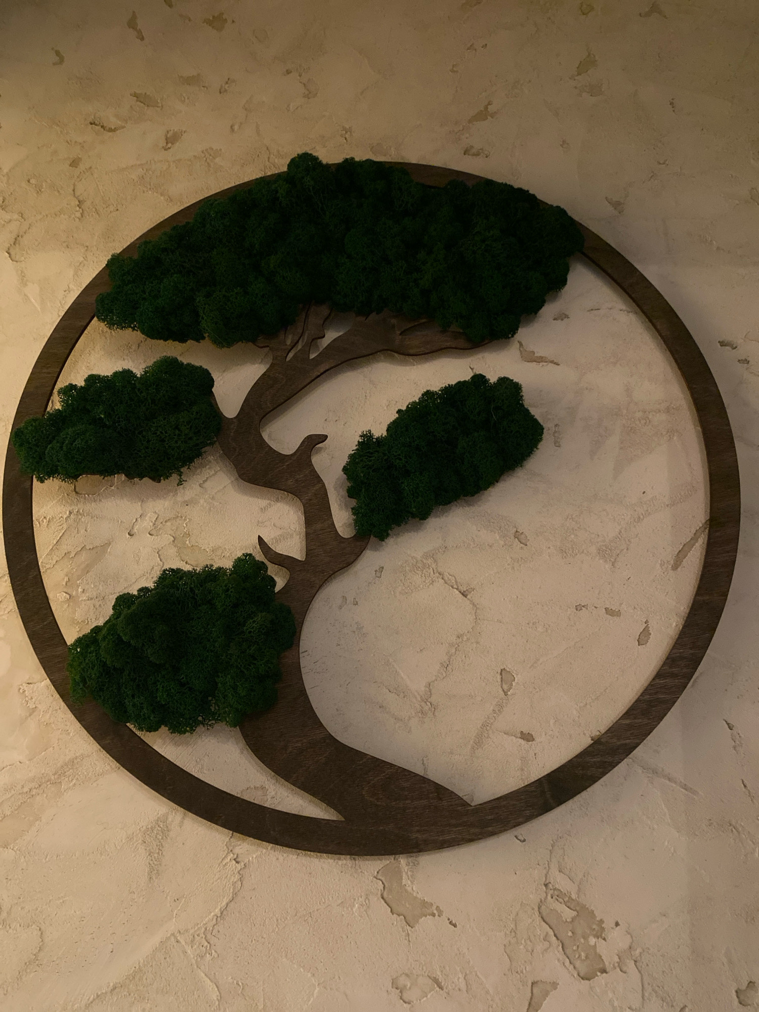The image shows a circular wall decoration featuring a stylized wooden tree with dark brown branches and clusters of dark green moss as foliage. The decoration is mounted on a textured, beige wall. The scene is indoors, but no specific location within Ivanteyevka, Russia can be determined from the image alone. There are no people or actions depicted.