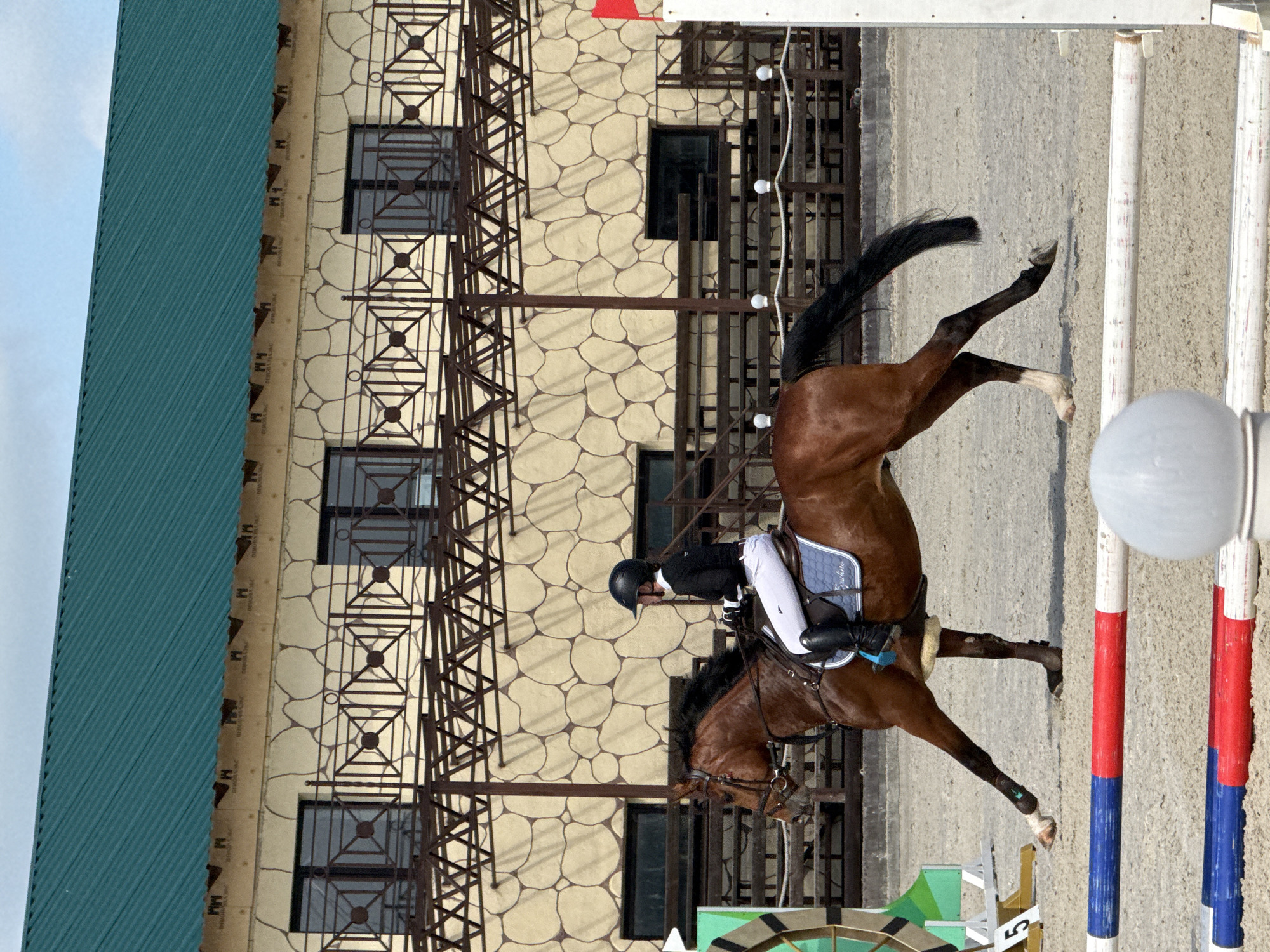A person in a black helmet and white riding pants is on a brown horse in an outdoor arena with a sand-covered ground. The horse is in mid-stride, with its front left leg extended. The rider is holding the reins and looking forward. In the background, there is a building with a teal corrugated metal roof and beige walls with a stone-like pattern. The building has several windows with dark frames and decorative metal railings. There are also bleachers and fencing visible. In the foreground, there are two horizontal poles, one red and white, the other blue and red, laid on the ground. A white spherical object is visible to the right of the poles. The scene appears to be part of an equestrian event at a farm or riding facility in the city of Ferma, Russia.