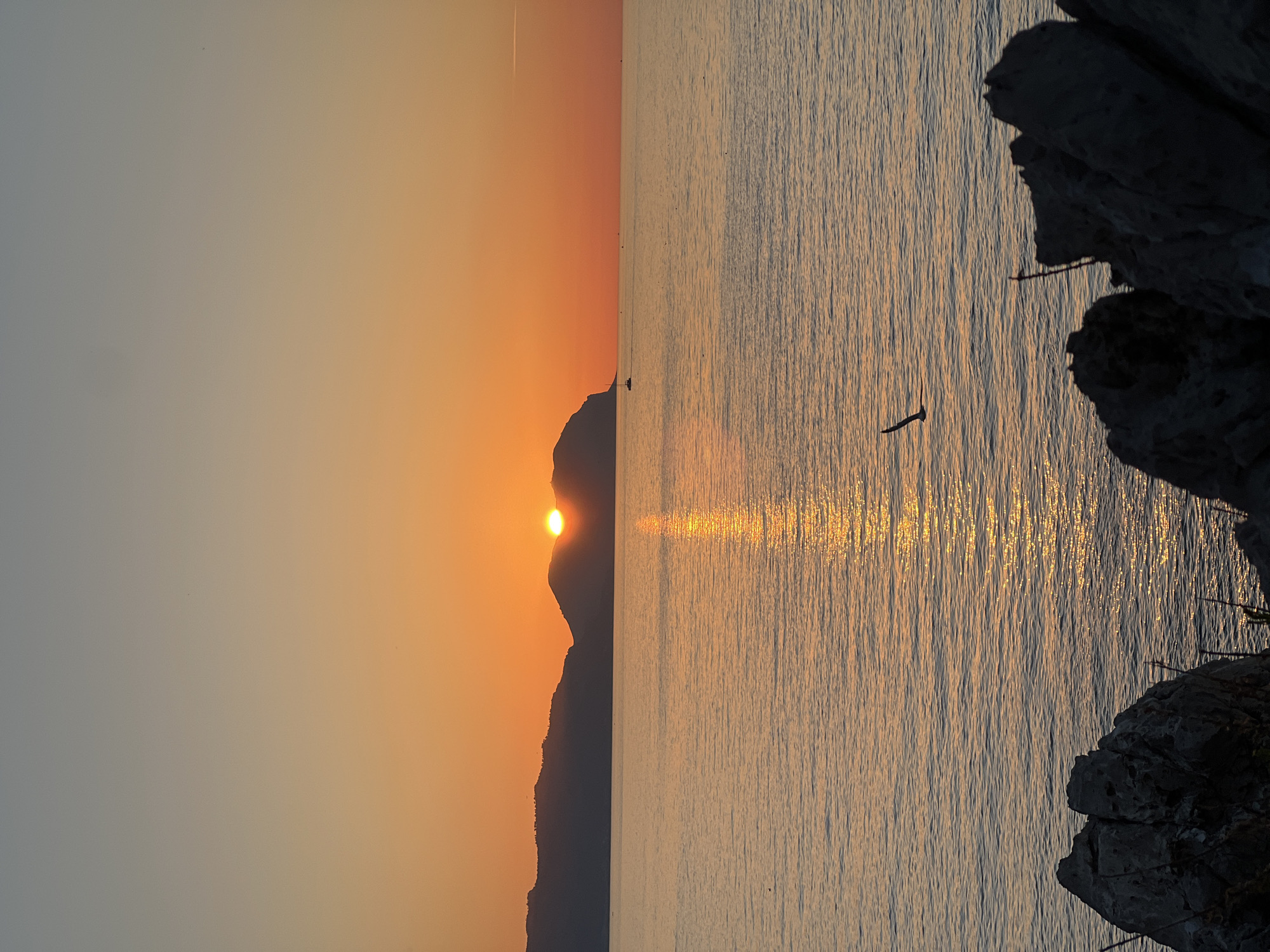 The image depicts a sunset over a body of water, likely the sea, with a silhouetted mountain range in the background. The sun is partially obscured by one of the mountain peaks, casting a golden glow across the water and the sky. A small sailboat is visible in the distance on the water. In the foreground, dark, rocky outcroppings frame the bottom of the image. A bird in flight is captured against the water's surface. The overall scene suggests a tranquil coastal landscape. While the specific location in Bagheria, Italy is not explicitly identifiable from the image alone, the presence of a coastal landscape with mountains is consistent with the geography of the area.