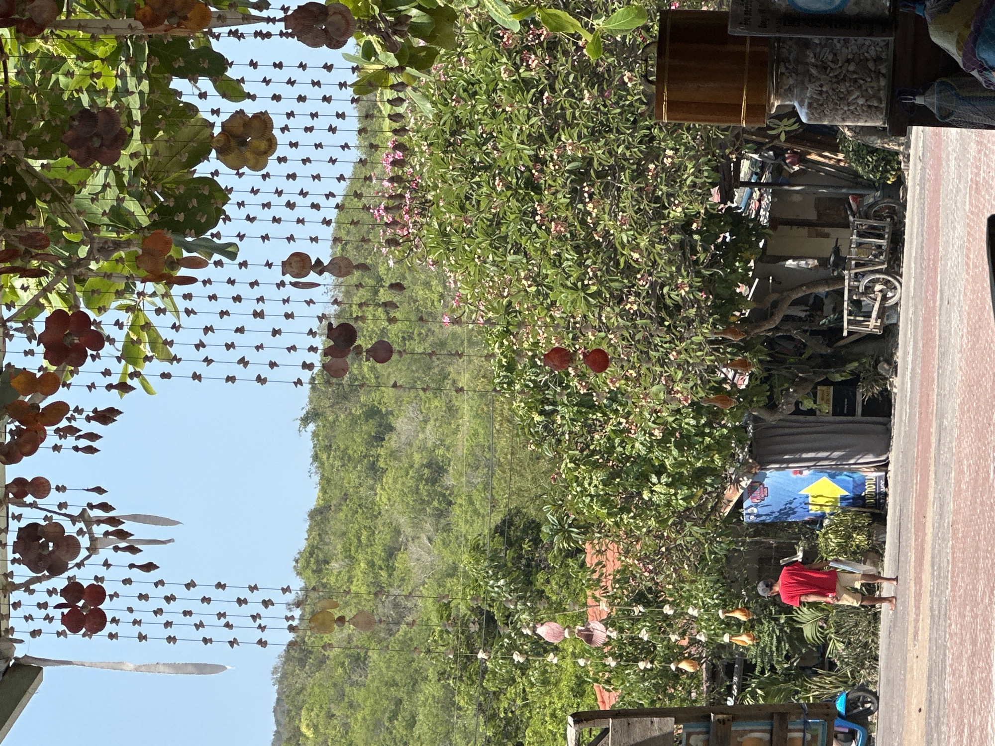The image captures an outdoor scene in Pattaya City, Thailand. A mountain with dense green vegetation forms the backdrop under a clear blue sky. In the foreground, decorative beaded curtains hang from trees, creating a sense of enclosure or entrance.
To the right, a paved walkway is visible, with a person wearing a red shirt and khaki shorts walking barefoot along it. A building or structure is partially visible, with jars or containers placed on a surface. A bicycle or vehicle frame is visible, further suggesting an urban or inhabited area. A blue sign is seen. The image appears to be taken from a stationary position, likely from within or near the shop or establishment where the curtains are displayed.