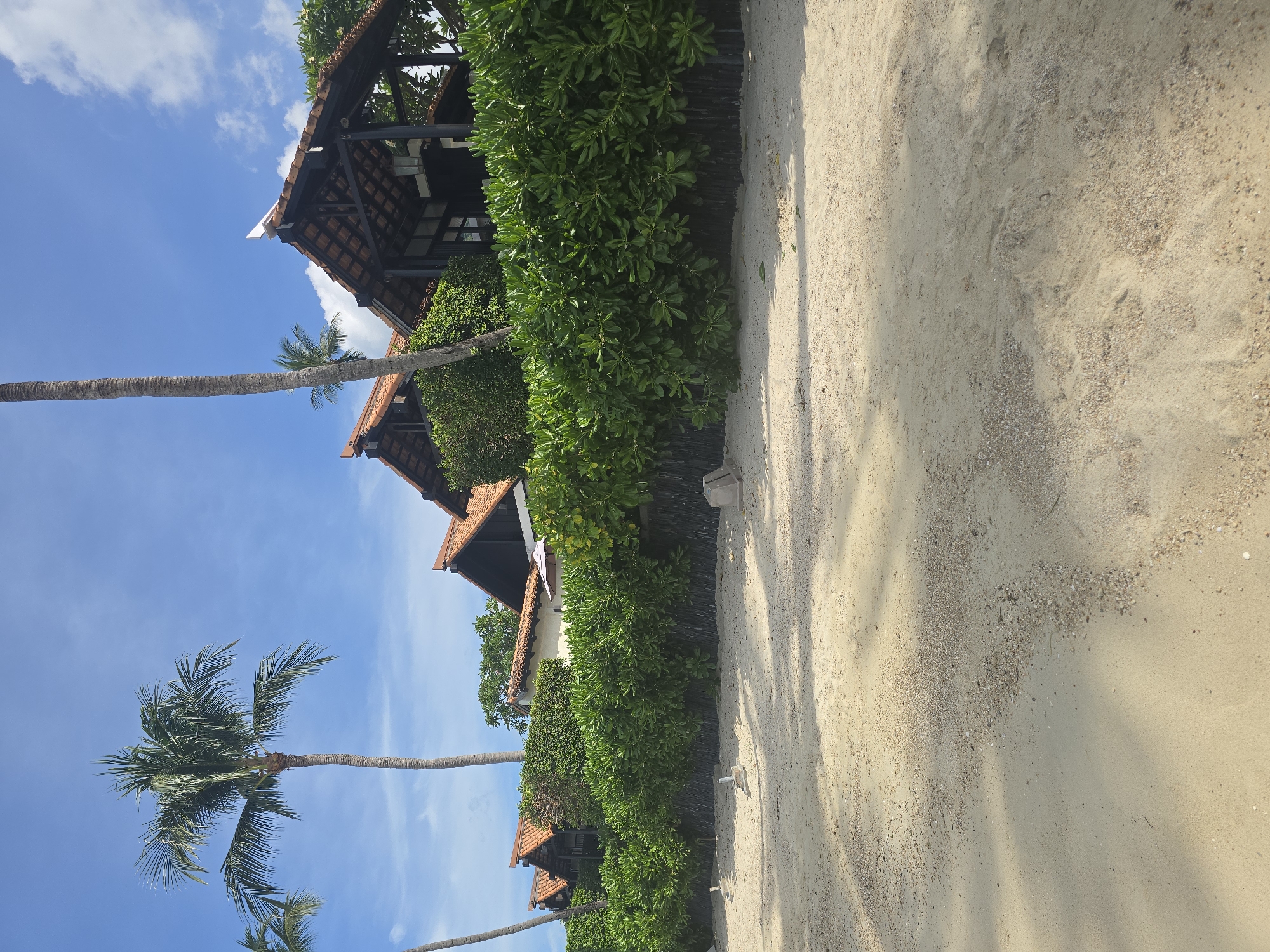 The image depicts a row of resort bungalows with red-tiled roofs, set against a backdrop of lush green foliage and tall palm trees under a bright blue sky with scattered clouds. The bungalows appear to be built in a traditional architectural style, with exposed wooden beams supporting the gabled roofs. They are situated behind a dense hedge that separates them from a sandy beach in the foreground. The beach is light brown and appears to be clean, with some small pebbles and shells scattered across its surface. Shadows from trees are cast on the sand, suggesting it is a sunny day. The scene conveys a tropical, resort-like atmosphere, likely in a location such as Baan Chaweng Noi, Thailand. There are no people visible in the image, nor any obvious actions or interactions taking place. The focus is on the natural environment and the resort architecture.