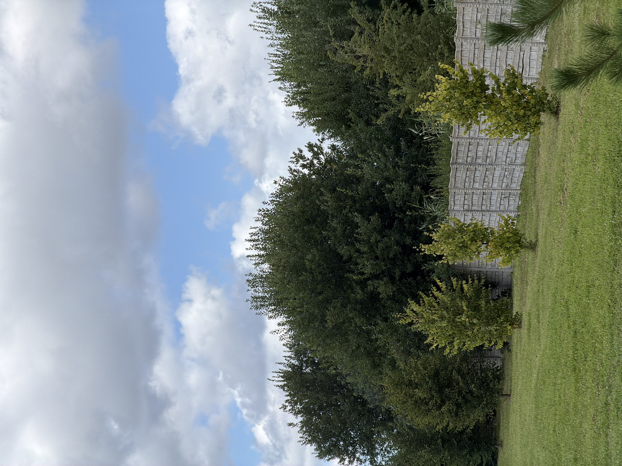 The image depicts a grassy area with several young trees planted in front of a decorative concrete fence. Behind the fence, a dense line of mature trees forms a backdrop. The sky above is a mix of blue and white clouds. The scene is likely a backyard or park area, consistent with a location in Konstantinovka, Russia. There are no people or animals visible in the image, and no specific actions or interactions are taking place. The focus is on the natural elements and the man-made fence.