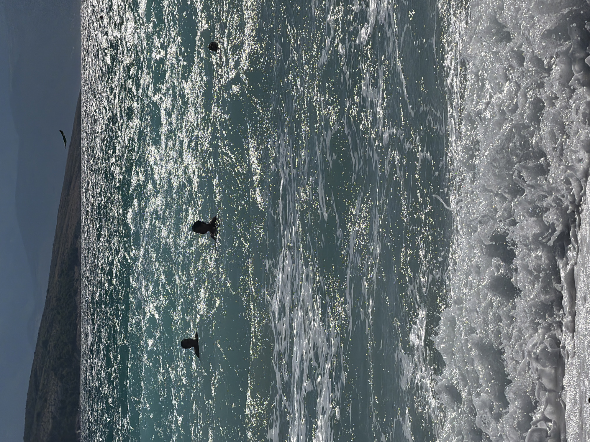 The image depicts a scenic view of the Adriatic Sea in Općina Baška, Croatia, with a mountain range in the background. The sea is choppy, with waves breaking and creating foam at the shore. Several people are visible swimming in the water, their heads appearing as dark silhouettes against the bright surface of the sea. The sun is shining, causing the water to sparkle. In the sky, a bird is in flight. The overall impression is one of a vibrant, active beach scene on a clear day.