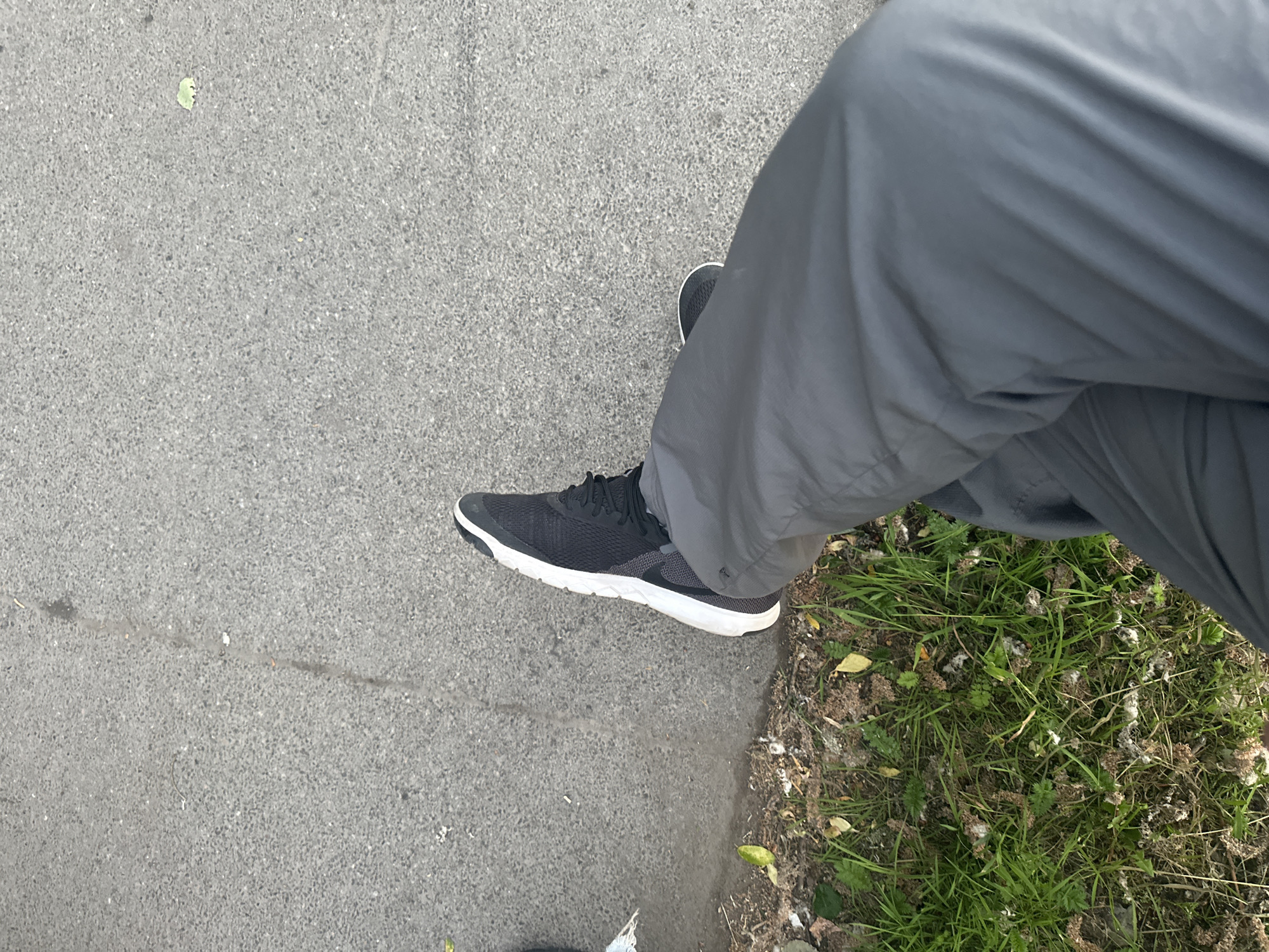 The image depicts an overhead view of a person's lower body and the ground in an outdoor setting within the city of Unknown, Unknown. The person is wearing dark grey, presumably athletic, pants and a black sneaker with a white sole on their right foot; the left foot is partially visible on the far left edge. The ground surface is divided, with the majority being grey asphalt or tarmac that exhibits a coarse, speckled texture. A thin, dark linear mark, possibly a crack or stain, runs vertically through the center of the asphalt. A small light green leaf is present on the asphalt in the upper right quadrant. To the bottom and left, a strip of unkempt ground features green grass, dry brown foliage, scattered yellow leaves, and distinct patches of white, fluffy debris. The person's legs extend into the frame from the lower right, suggesting a standing or seated posture with the legs slightly bent.