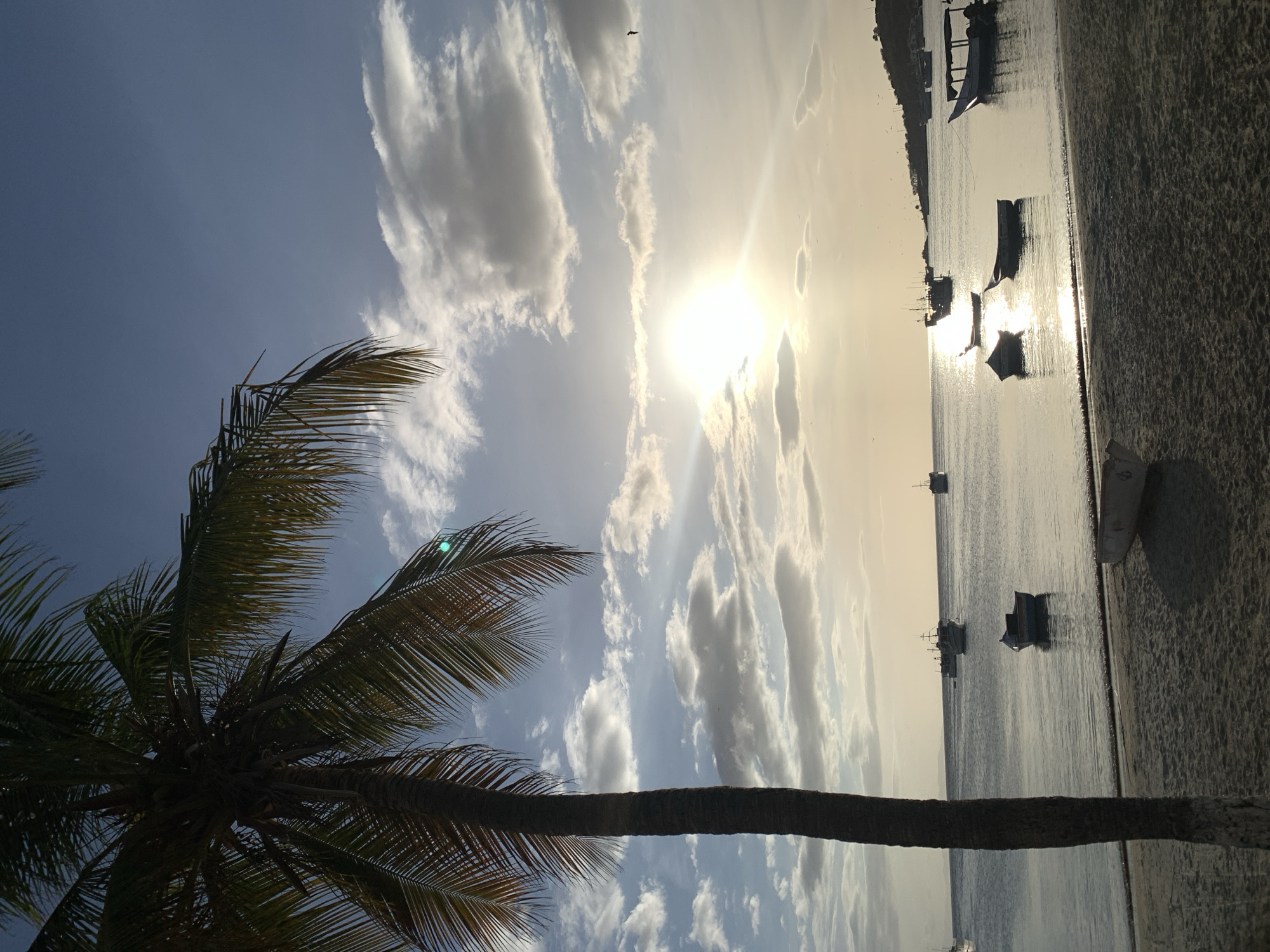 A tranquil sunset scene unfolds on a beach in Juan Griego, Venezuela, with a prominent palm tree silhouetted against a soft blue sky dotted with wispy clouds. The sun, a brilliant disc low on the horizon, casts a shimmering golden light across the calm, glassy water. Several small fishing boats are scattered across the sea, their forms darkened by the backlight. One small boat rests on the sandy shore in the foreground. The beach itself is sandy with a few scattered objects, including a small white boat. The background features a hazy, distant shoreline with a few scattered buildings and trees. The overall atmosphere is peaceful and serene, capturing the essence of a tropical evening.
