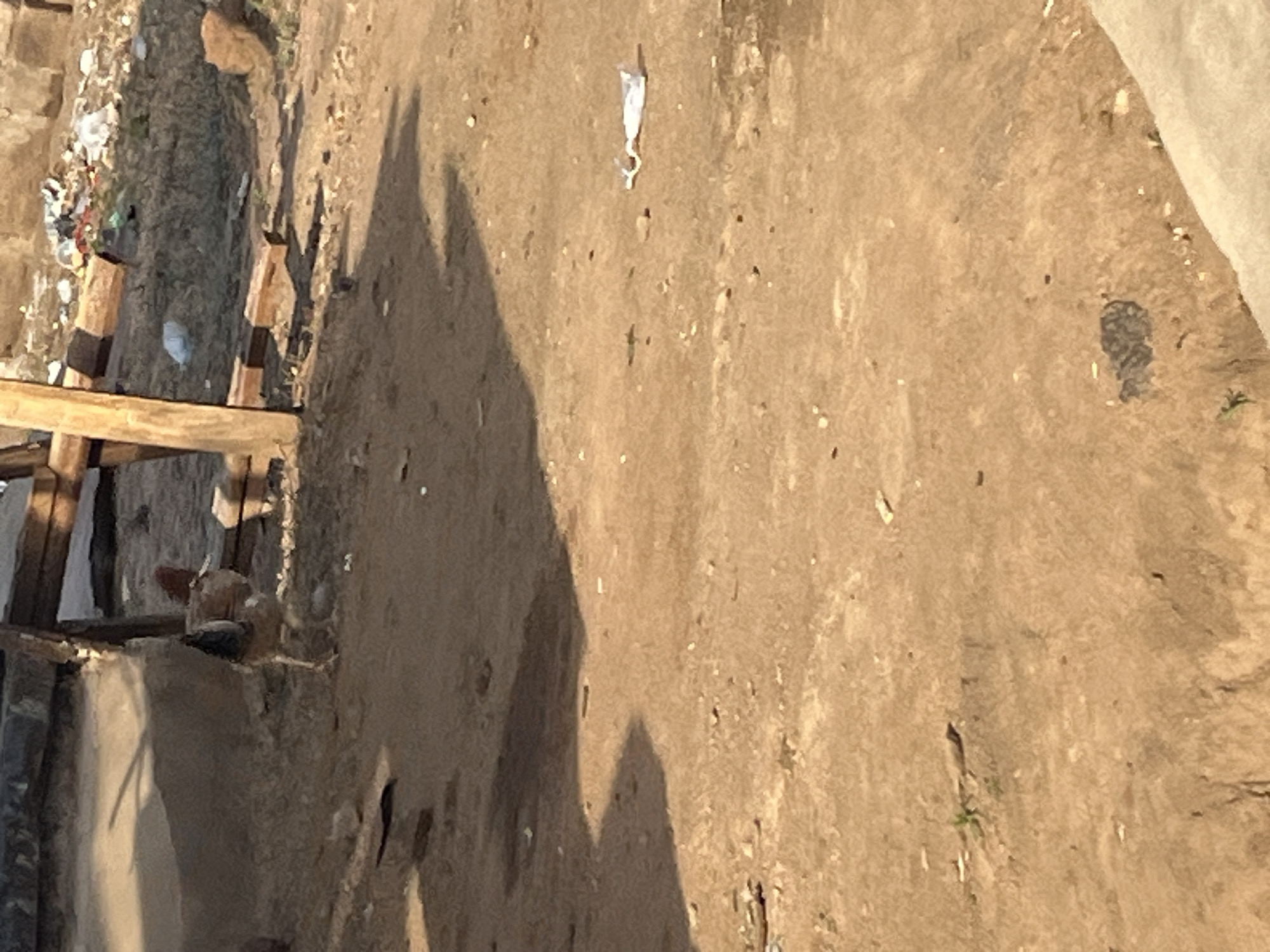A chicken stands on dusty ground in front of a wooden structure. The chicken is mostly brown with a black tail and red comb. In the background, there is a pile of debris including plastic bags and some red material. Sunlight casts a shadow of the wooden structure on the ground. The ground is uneven and appears to be dry earth with small stones and scattered debris.