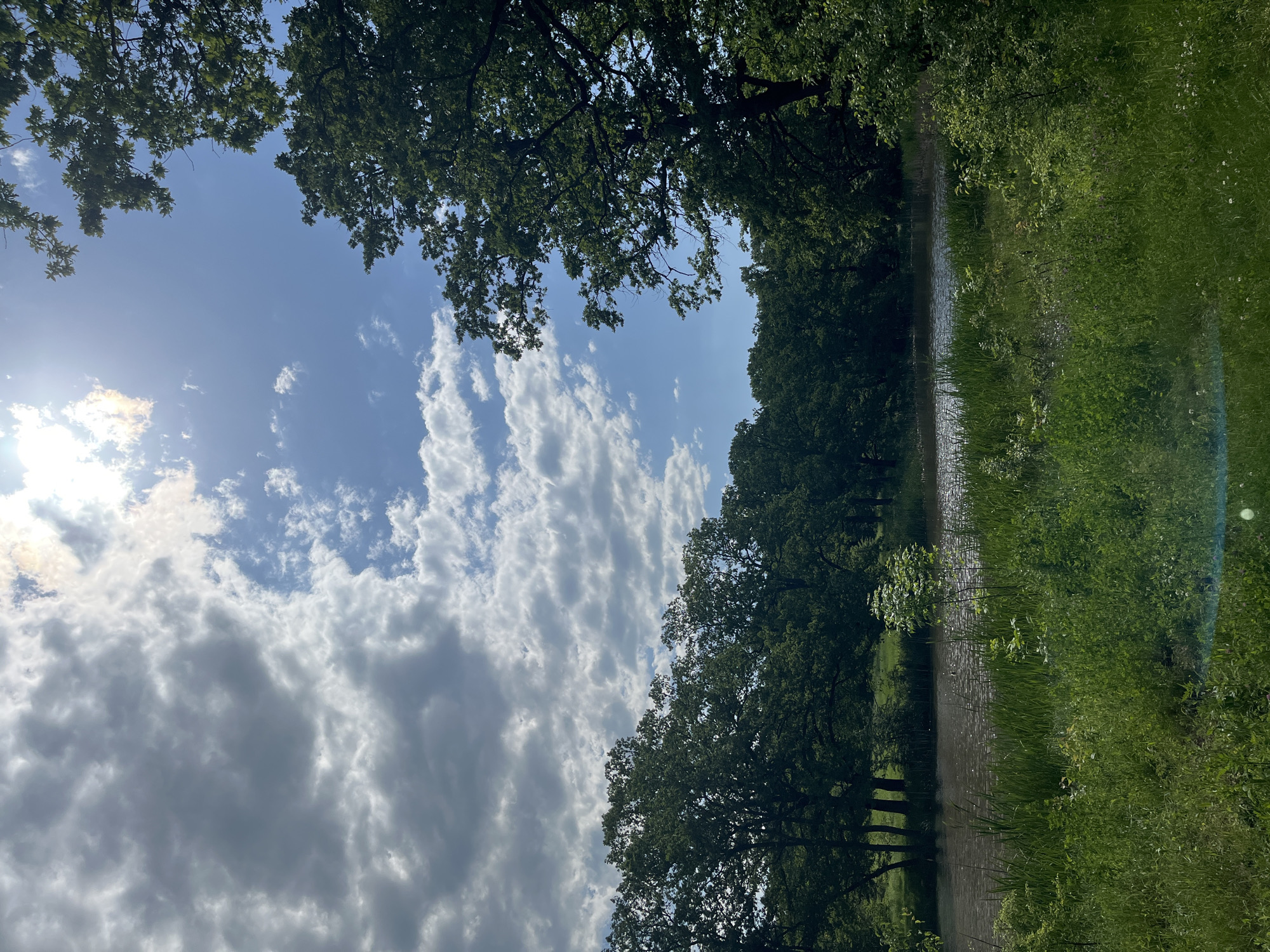 The image shows a landscape in Saratovskaya, Russia. The sky is visible with blue patches and many white and grey clouds. Trees line both sides of what appears to be a road or path. On the right side, the foliage is dense and green. A body of water, possibly a river or lake, is visible on the right side of the road. Sunlight filters through the trees on the left side of the frame.