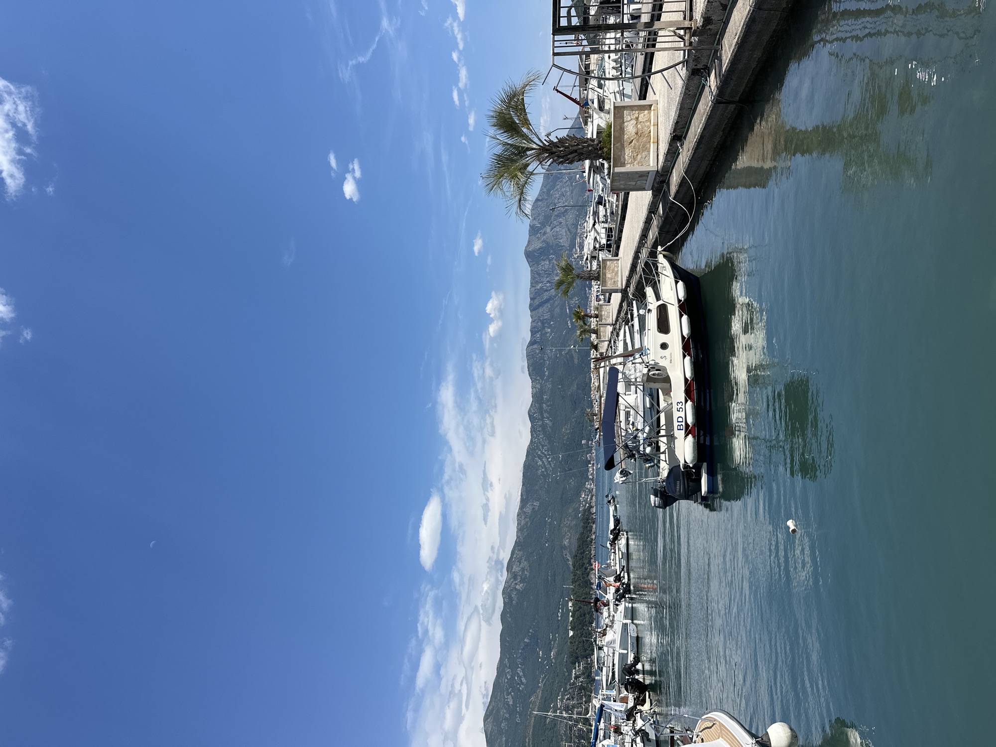 The image shows a view of a marina in Budva, Montenegro. Several boats are moored along a concrete pier, with mountains visible in the background. The sky is blue with scattered clouds. A palm tree is planted in a planter on the pier. The water in the marina is calm.