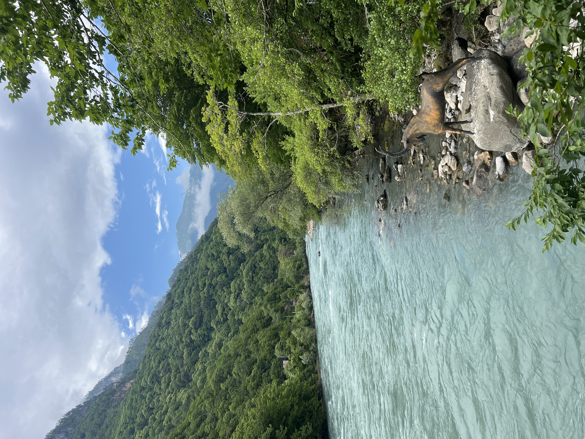 An outdoor, eye-level, vertical shot captures a turquoise river flowing past a densely forested mountain slope in Bzypta, Abkhazia. In the foreground, to the right of the river, a bronze sculpture of a mountain goat stands on a large, rounded rock. The goat is depicted in profile, facing left, with its head turned towards the river. Its horns are curved backwards. The river itself is wide and turbulent, with visible ripples and white water indicating a swift current. The riverbank is lined with rocks and lush green vegetation. The mountain slope on the left is covered in a dense forest, and a narrow road with a few structures can be seen in the distance. The sky is partially cloudy with patches of blue.