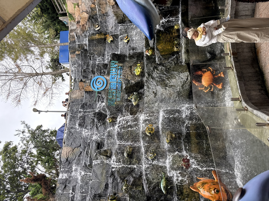 This image displays an artificial rock face waterfall at the Qingdao Underwater World in Shinan District, China, under an overcast sky. The dark grey, multi-tiered rock face features numerous cascading water flows and is adorned with various stylized, colorful marine life sculptures, including fish and crabs. Centered on the rock face is a blue spiral logo positioned above the Chinese characters "青岛海底世界" and the English text "Underwater World."
In the lower right foreground, an adult wearing a light-colored top and wide-leg beige pants holds an infant, who is dressed in a light hat and yellow bib. They are standing behind a clear glass barrier with silver posts, which separates the viewing area from the waterfall's base. Partial views of large blue and white marine animal statues, specifically a dolphin's head on the far left and a shark's head on the far right, extend into the scene. A prominent large orange fish sculpture is visible near the lower left.
On a platform situated above the waterfall, approximately five individuals are visible standing behind a railing. This upper level is bordered by green foliage and several bare deciduous trees. A streetlamp is present on the platform, and a blue tarp or tent-like structure is partially visible on the far left of this upper tier.