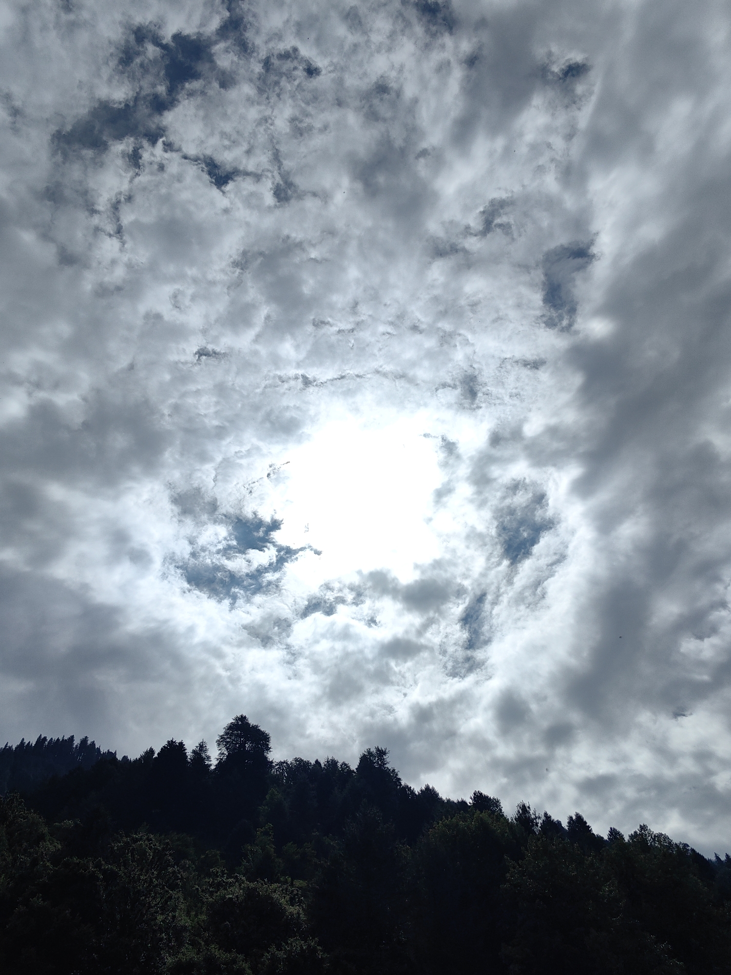 A wide-angle, low-angle shot captures a dramatic sky filled with dense, grey clouds. A bright circular area of sunlight pierces through the clouds at the center of the frame, creating a halo effect. Below the sky, a dark silhouette of a dense forest of evergreen trees covers a hillside. The trees are varied in height, with some appearing taller and more distinct against the sky, while others form a darker, more uniform mass. The image is taken in Vashisht, India.