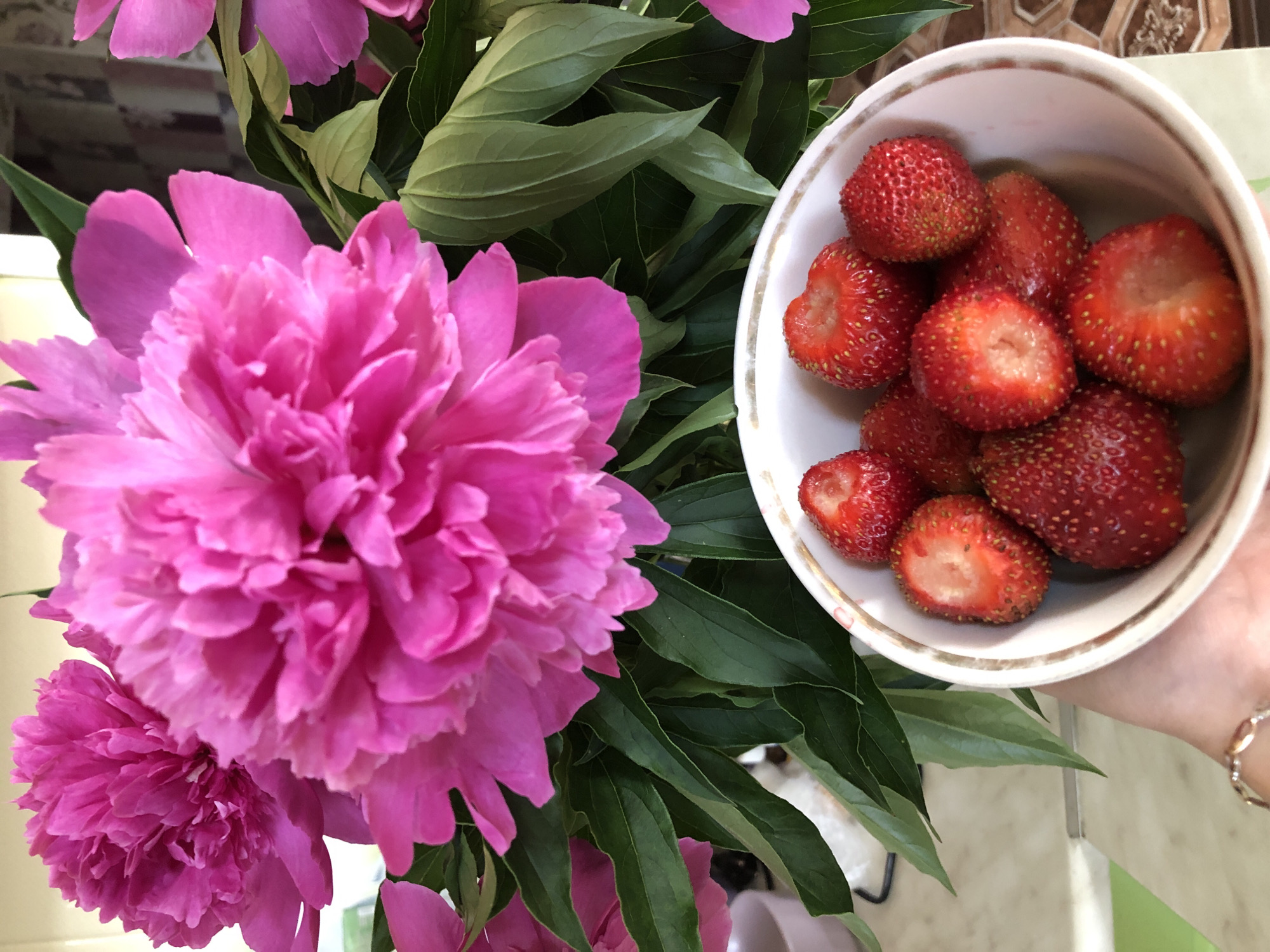 In this close-up, eye-level shot, a bowl of ripe strawberries is held by a hand wearing a bracelet. The bowl, with a decorative rim, is filled with several whole and halved strawberries, some showing their vibrant red flesh. Behind the bowl, a bouquet of large, bright pink peonies fills the frame. The peonies' petals are layered and ruffled, creating a soft, textured appearance. Lush green leaves from the peonies provide a contrasting backdrop. The scene appears to be indoors, with a blurred background suggesting a domestic setting, possibly a kitchen or living area. There are no visible signs of the city of Noviy, Russia.