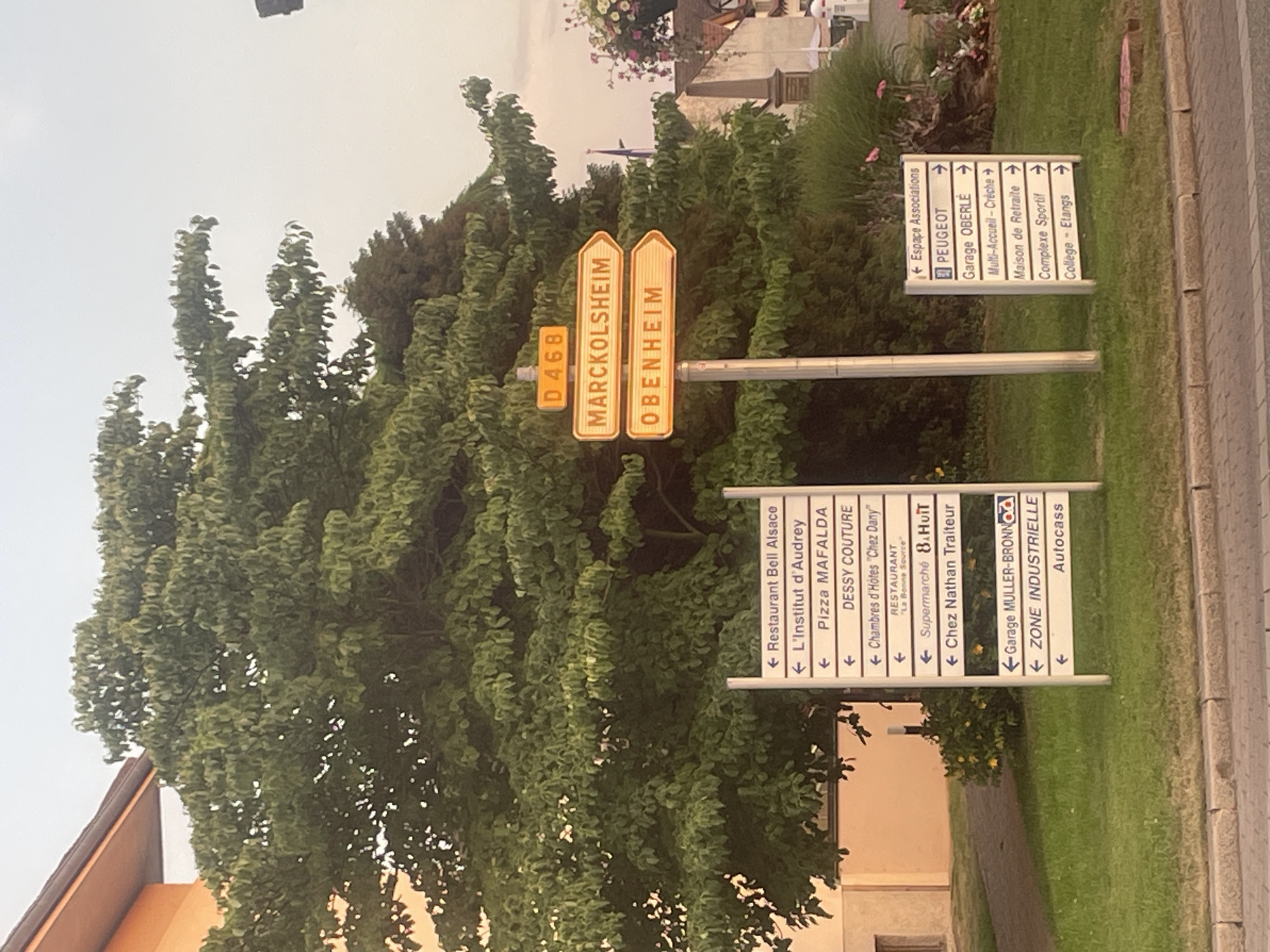 This image shows a directional signpost in Gerstheim, France. The signpost has multiple arms pointing in different directions, indicating various destinations and establishments.
On the left side of the signpost, there are several signs. The top-most sign reads "Restaurant Bell Alsace". Below that, "L'Institut d'Audrey" is listed, followed by "Pizza MAFALDA". Further down, "DESSY COUTURE" is indicated, and then "Chambres d'Hôtes 'Chez Dany'". A sign for "RESTAURANT 'La Bonne Souche'" is also present, followed by "Supermarché B.Huitt" and "Chez Nathan Traiteur". At the bottom of this section, signs for "Garage MULLER-BRONN" and "ZONE INDUSTRIELLE" are visible, with "Autocassa" appearing at the very bottom.
On the right side of the signpost, a yellow rectangular sign with "D 468" is positioned above two orange directional signs. The top orange sign points to "MARCKOLSHEIM", and the bottom orange sign points to "OBENHEIM". Below these, another set of signs is displayed. The first sign reads "Espace Associations". Below that is a sign with the PEUGEOT logo and an arrow pointing to the right, followed by "Garage OBERLE". Further down, "Multi-Accuell - Crèche" is listed, then "Maison de Retraite", "Complexe Sportif", and finally "Collège - Etangs".
The background features a large, leafy green tree dominating the scene, with a building with an orange facade visible on the left. On the right side of the image, there are glimpses of buildings, a tall spire-like structure, and a planter filled with flowers. The ground is covered in grass and a paved road or sidewalk is visible in the foreground. The sky is overcast, suggesting either early morning or late afternoon lighting. There are no people visible in the image.