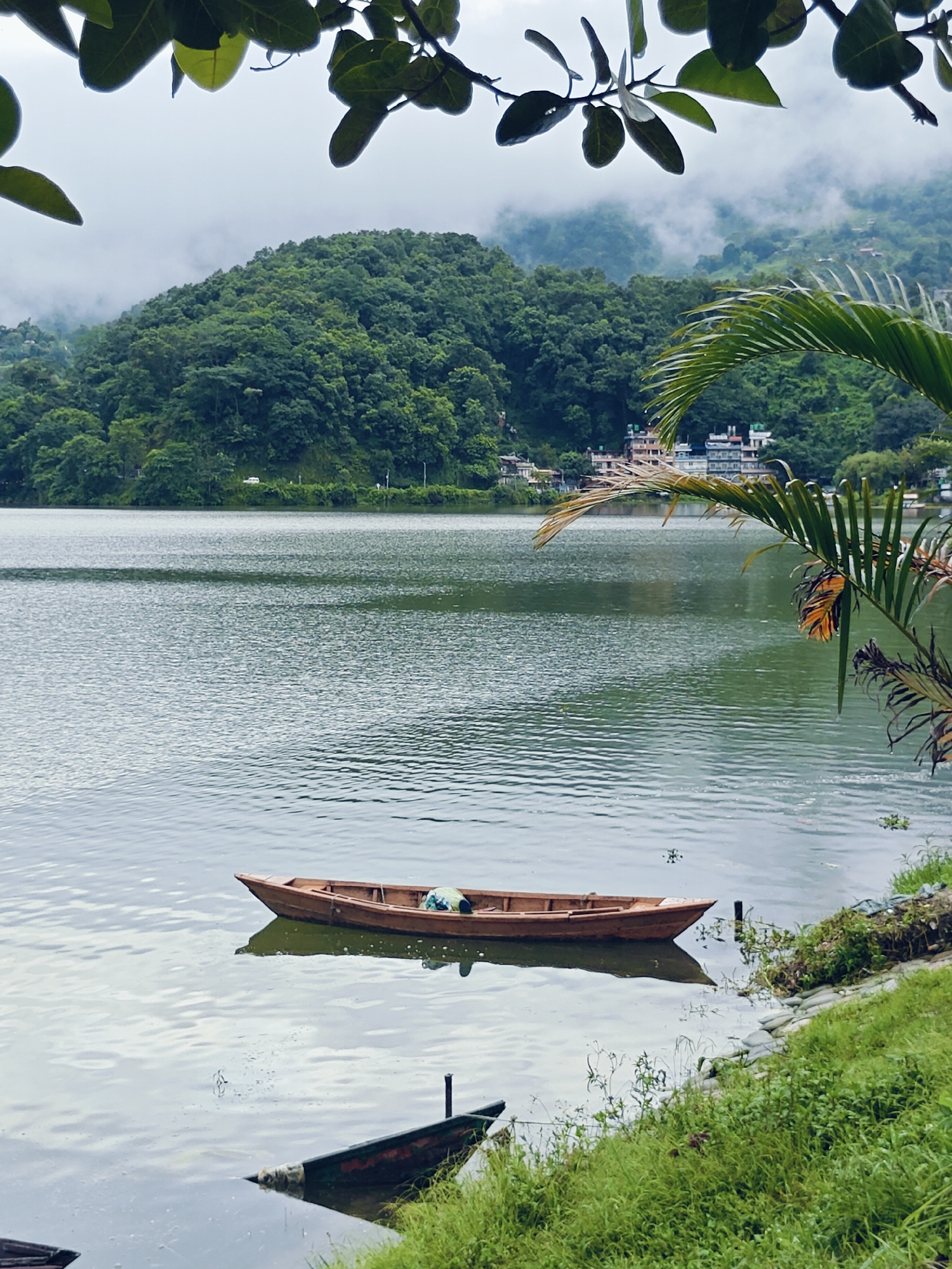 This is a medium shot, eye-level, outdoor, vertical photograph taken on a cloudy day. The foreground is dominated by a calm, grey lake with ripples. A small, wooden boat is positioned centrally on the lake, its reflection visible below. In the background, a lush green hill covered in dense trees rises from the far side of the lake. A few buildings are visible scattered on the hillside, with a bridge in the distance. Tropical palm fronds frame the top and right sides of the image, obscuring parts of the sky and background. The overall scene depicts a serene natural landscape with a hint of human habitation. The location is Phewa Lake in Pokhara, Nepal, a popular tourist destination known for its natural beauty and views of the Annapurna mountain range.
