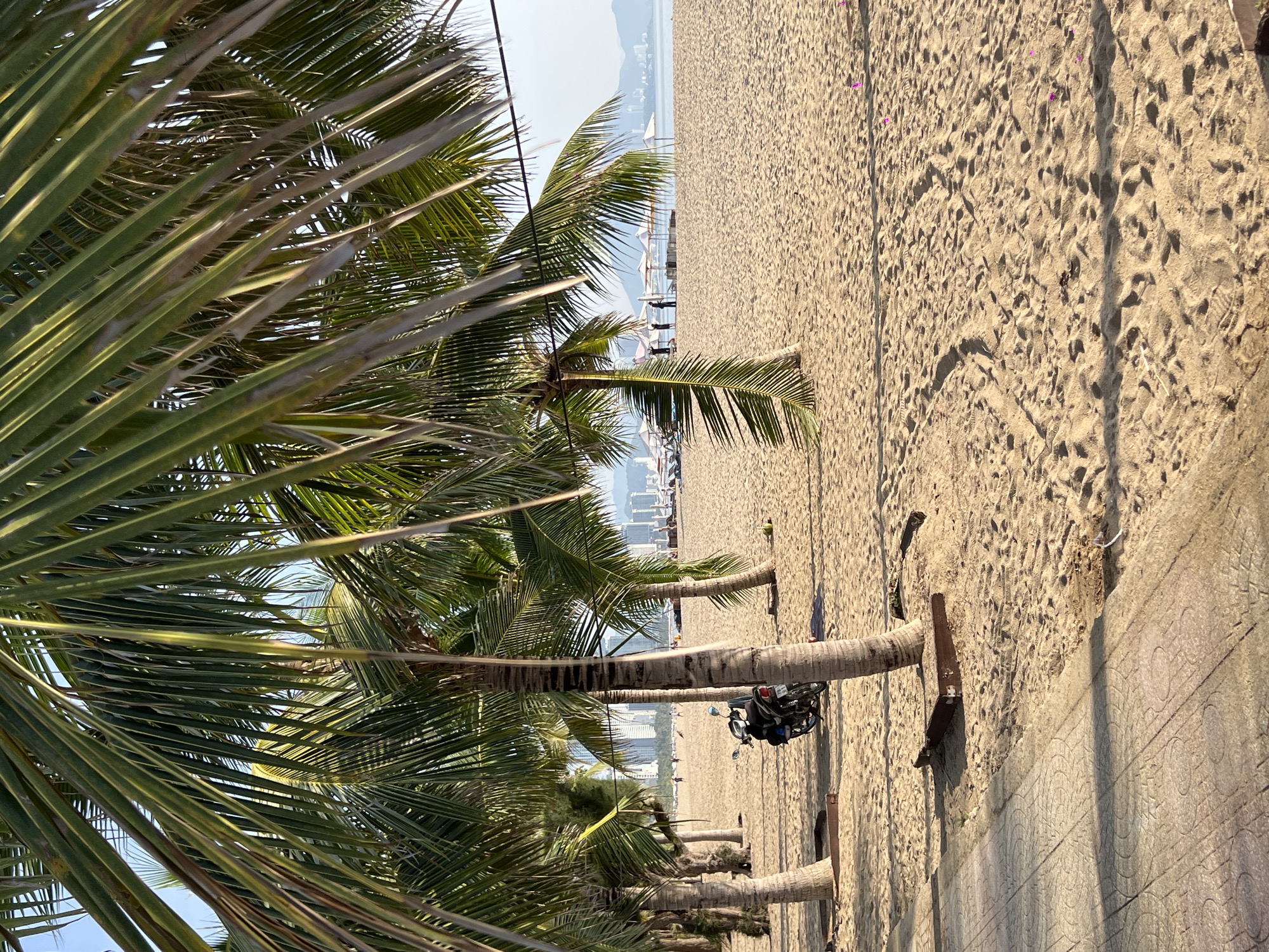 The image captures a serene beach scene in Nha Trang Ward, Vietnam, bathed in the warm glow of sunlight. In the foreground, the fronds of several palm trees cast dappled shadows on the sandy shore. A paved walkway runs along the left edge of the frame, bordered by sand. A black and silver scooter is parked on the sand near the palm trees.
Further into the scene, the vast expanse of the beach stretches towards the calm, blue ocean. Numerous white umbrellas are set up, providing shade for beachgoers. Several individuals are visible in the middle ground, some walking and others standing near the umbrellas. In the distance, a city skyline with tall buildings is silhouetted against the horizon, with mountains forming a backdrop. The overall atmosphere is one of peaceful relaxation, a typical view of a tropical beach destination.