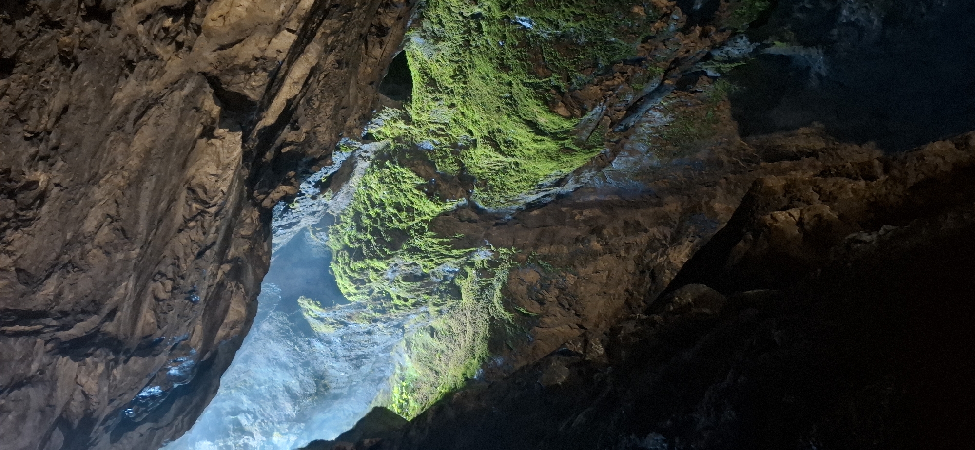 The image depicts the interior of a cave, likely within the Trigrad Gorge area of Bulgaria, characterized by its rugged rock formations and lush green moss. The cave ceiling is visible at the top, with rough, uneven textures and shadowed crevices. A large opening or chasm is present in the upper left, allowing natural light to penetrate the cavern. This light illuminates a prominent section of the cave wall, which is heavily covered in vibrant green moss, giving it a soft, textured appearance. The moss clings to the rock face, following its natural contours and cracks. Below the moss-covered area, the rock formations become darker and more rugged, with deep shadows indicating further recesses of the cave. The overall impression is one of a natural, wild environment, where geological formations have been softened and beautified by the growth of moss, sustained by the limited light and moisture entering the cave. There are no people or animals visible in the image.