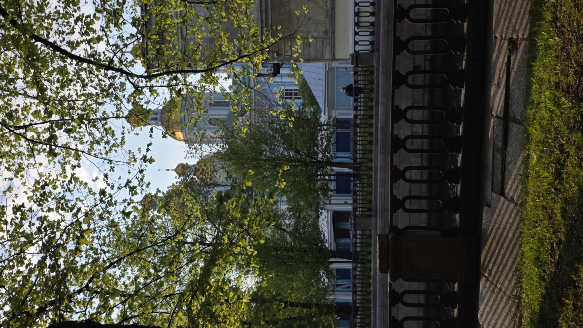This image captures a view of the Smolny Cathedral in Saint Petersburg, Russia, framed by foliage and a wrought-iron fence. The cathedral's blue and white facade and golden domes are visible in the background. The foreground features green trees with leaves, suggesting a spring or summer season. A wrought-iron fence runs along the right side of the frame, casting shadows on the adjacent pavement and grassy area. A person stands near the railing on the other side of the fence.