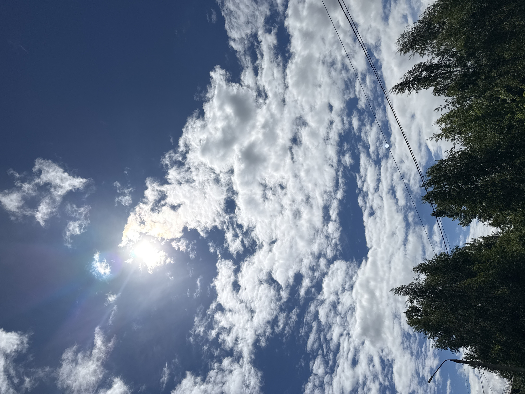 A low-angle, outdoor daytime shot shows a blue sky partially obscured by scattered, white, puffy clouds. The sun is visible behind a cloud in the lower-left, emitting a lens flare. Dark green foliage of trees fills the upper-right of the frame. Power lines are seen running from the upper-right to the center of the image. A black lamppost is visible in the lower-right corner. The image was likely taken in Shevlyakovo, Russia, based on the request. There are no people present in the image.