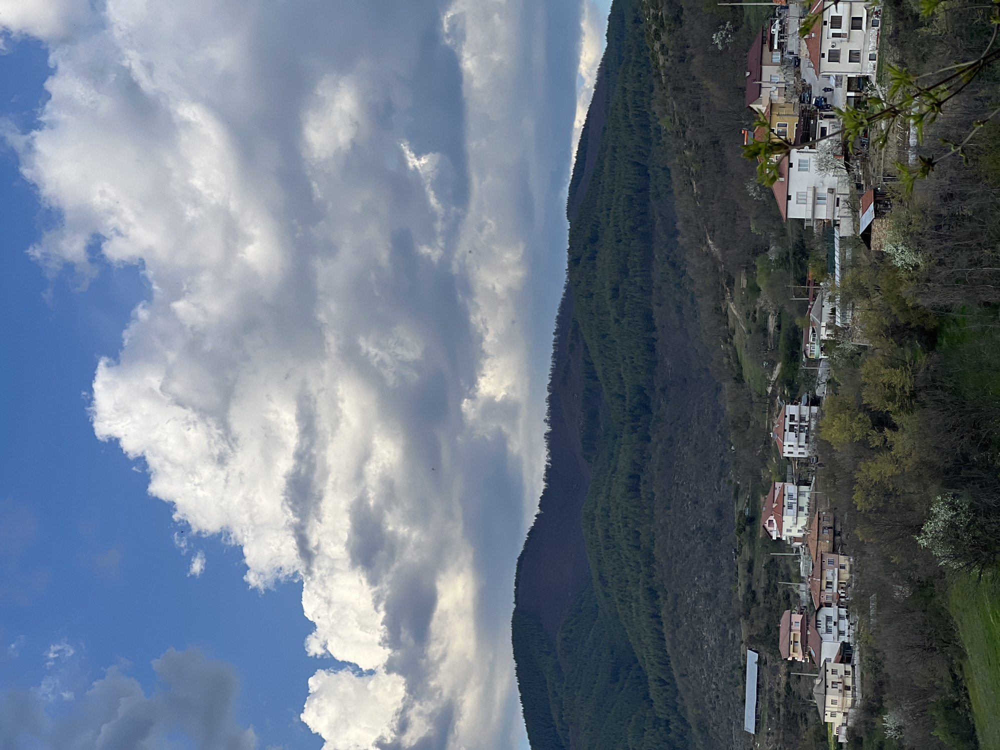 The image shows a vertical view of a scene in Kribul, Bulgaria. On the left, there's a blue sky filled with large, white cumulus clouds. Adjacent to the sky is a forested mountainside, with dense evergreen trees. At the base of the mountain, there are houses and other buildings scattered along the slope.