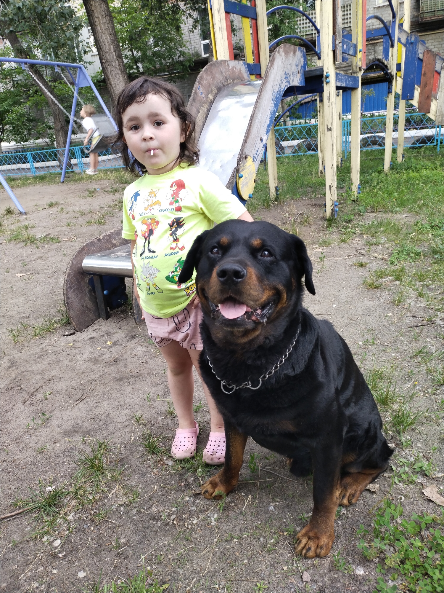 The image depicts an outdoor playground scene in the city of Horishni Plavni, Ukraine. In the foreground, a young child with dark, wavy hair stands facing the camera, wearing a light green t-shirt featuring multiple Sonic the Hedgehog characters (Sonic, Tails, Knuckles, Dr. Eggman, Shadow, Silver) and light pink shorts with a subtle rabbit pattern. A small white object is visible in the child's mouth. The child wears pink Crocs-style sandals on their feet and has their left arm resting on the back of a large black Rottweiler dog. The dog is sitting next to the child, facing slightly towards the left of the frame, with its tongue partially extended, indicative of panting. It wears a metal chain collar.
The ground is composed of compacted dirt with scattered patches of green grass. In the mid-ground to the left, a blue metal swing set is visible, with a blurred figure of another child actively swinging. Further into the background, a weathered playground structure made of painted wooden posts (yellow, blue, and red) and a metal slide with worn blue and yellow supports are present. A makeshift bench or table constructed from a large tree trunk section with a metal top is partially visible behind the foreground subjects. Mature trees with green foliage are situated around the playground area. A low blue metal fence with a diamond pattern runs horizontally across the mid-ground. In the far background, a multi-story brick building with visible windows indicates an urban or suburban setting. The lighting suggests daytime conditions.