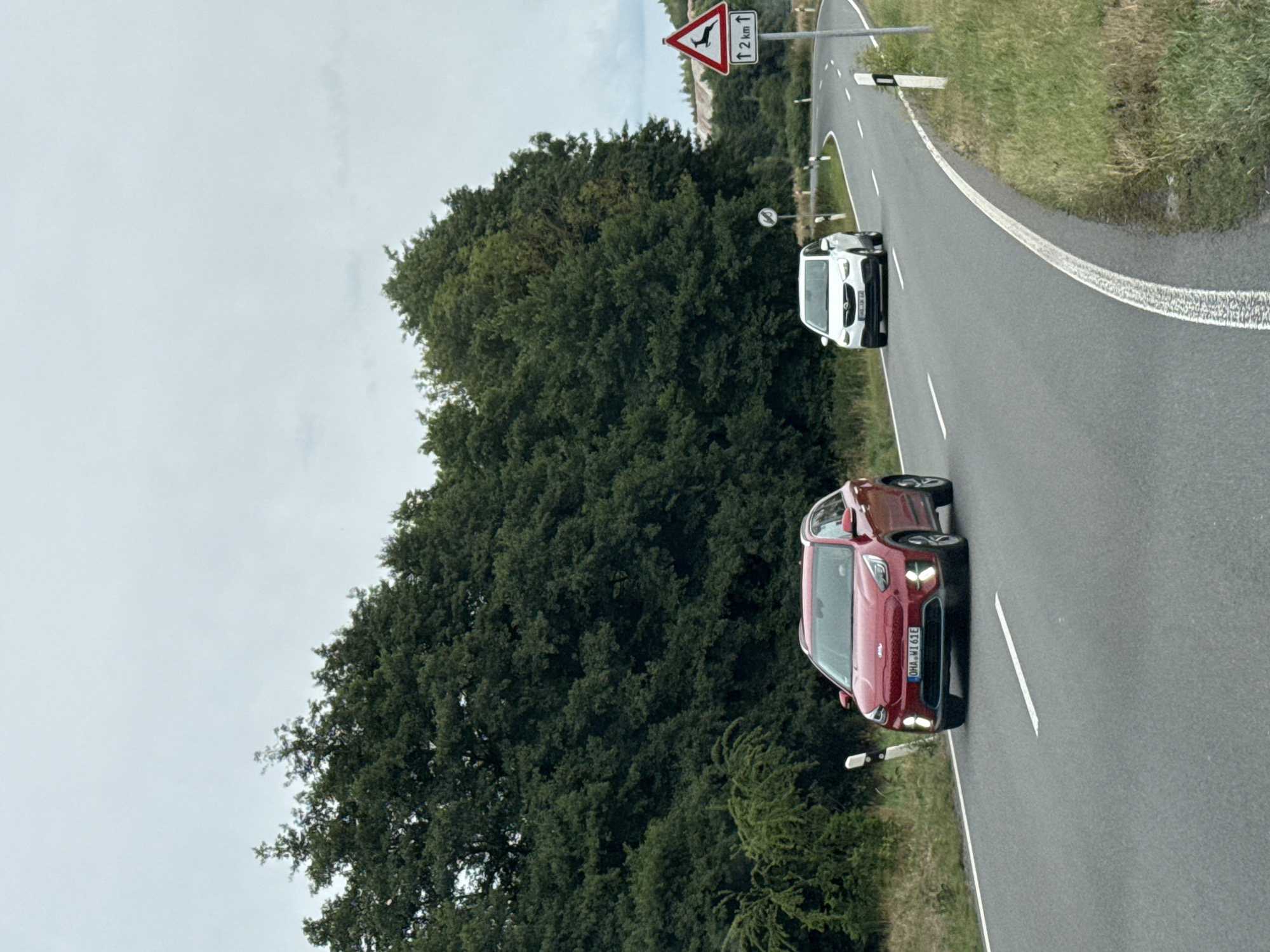 The image depicts a road scene in Ellrich, Germany. A red Kia Niro electric vehicle is driving on a paved road, in the foreground, facing forward. Behind it, a white Opel Mokka X is also driving forward. The road curves to the right. The surrounding environment is characterized by dense green trees and vegetation. A triangular road sign with a deer silhouette and "12 km" text is visible on the right side of the road, indicating a warning for deer crossing in the next 12 kilometers. The sky is overcast and cloudy. The overall atmosphere is that of a rural or suburban road in Germany.