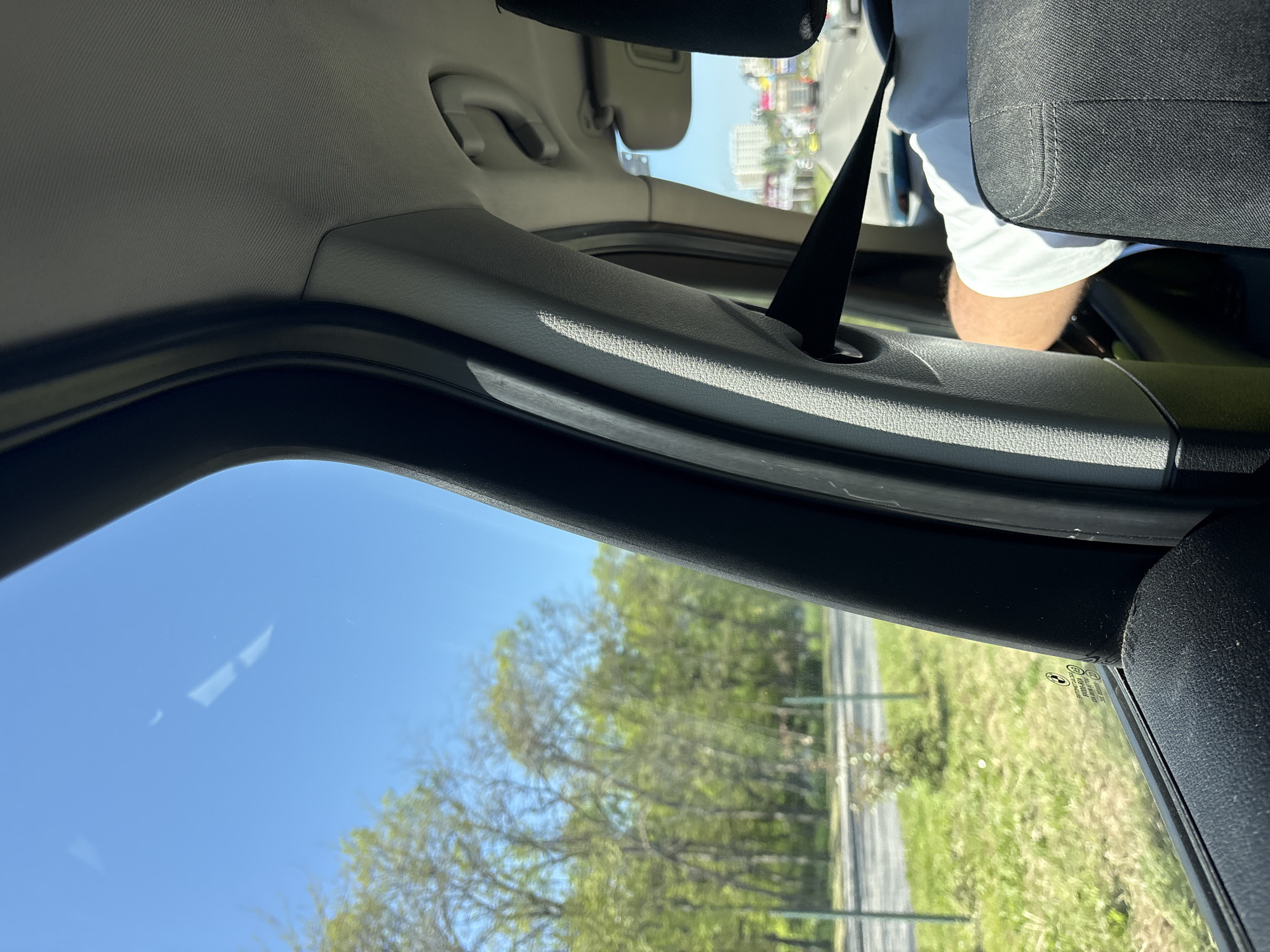 A view from inside a vehicle showcases a segment of the car's interior, including a portion of the headliner, the A-pillar trim, a seat with a headrest, and a safety belt. The car's window offers a view of trees and buildings in the background. The location, presumed to be a city, remains unidentified.