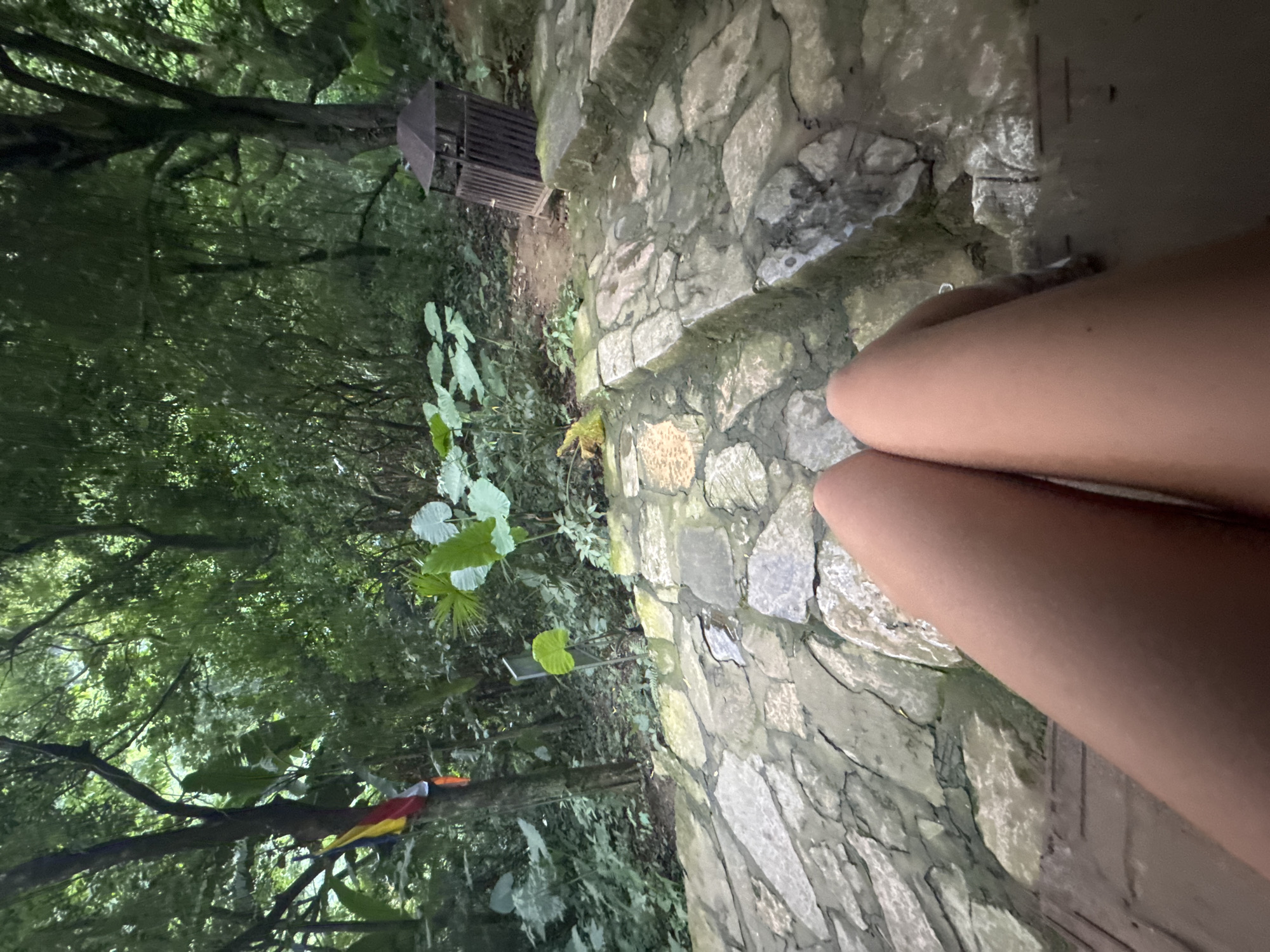 The image depicts a view from a person's perspective, showing their legs in the foreground. The person appears to be sitting on a set of stone steps in a lush, green, forested environment. In the background, there are trees with dense foliage, and some colorful prayer flags are visible on a tree trunk to the left. A trash receptacle is situated to the right of the steps, further back. The stone steps are uneven and appear to be wet in some areas, suggesting a natural or humid setting. The overall scene suggests a tranquil outdoor location, possibly within a natural park or a temple complex in the Tây Hoa Lư Ward of Vietnam.