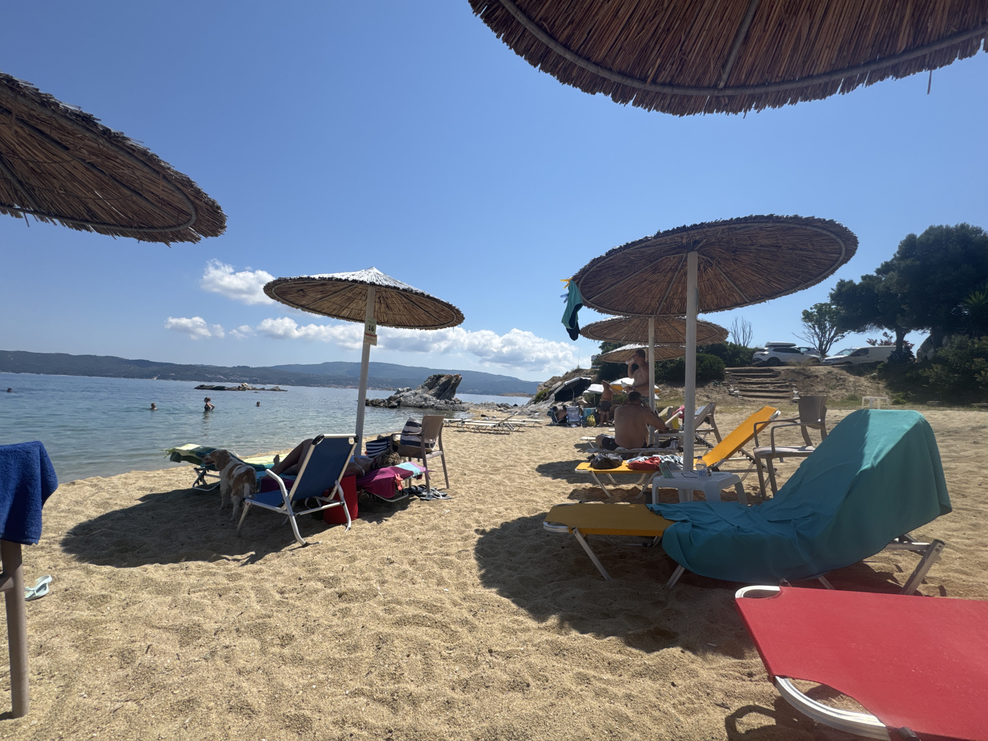 This image depicts a sunny beach scene on Ammouliani, Greece. The foreground is dominated by golden sand with several beach chairs and umbrellas. In the middle ground, the shallow, clear blue water meets the shore, with several people swimming and relaxing. Further in the background, a rocky coastline is visible, lined with trees. A few cars are parked on a dirt path above the beach. The sky is clear blue with a few white clouds.