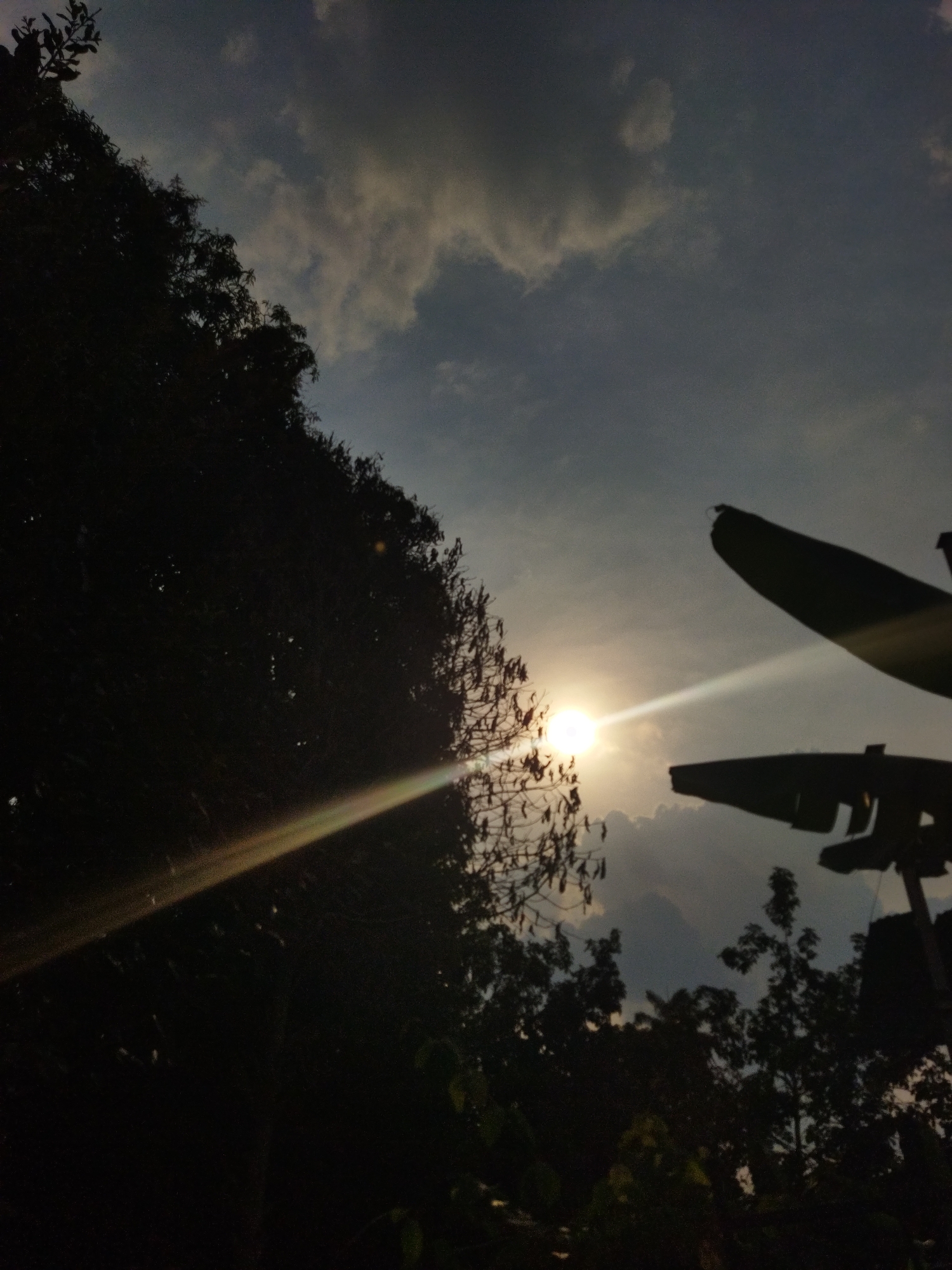 The image depicts a sunlit scene in Tinaquillo, Venezuela. The sun is positioned centrally in the image, partially obscured by tree branches. A bright beam of light radiates from the sun. Silhouetted trees occupy the left side of the image, and banana leaves are silhouetted on the right side. The sky is partially covered with clouds.