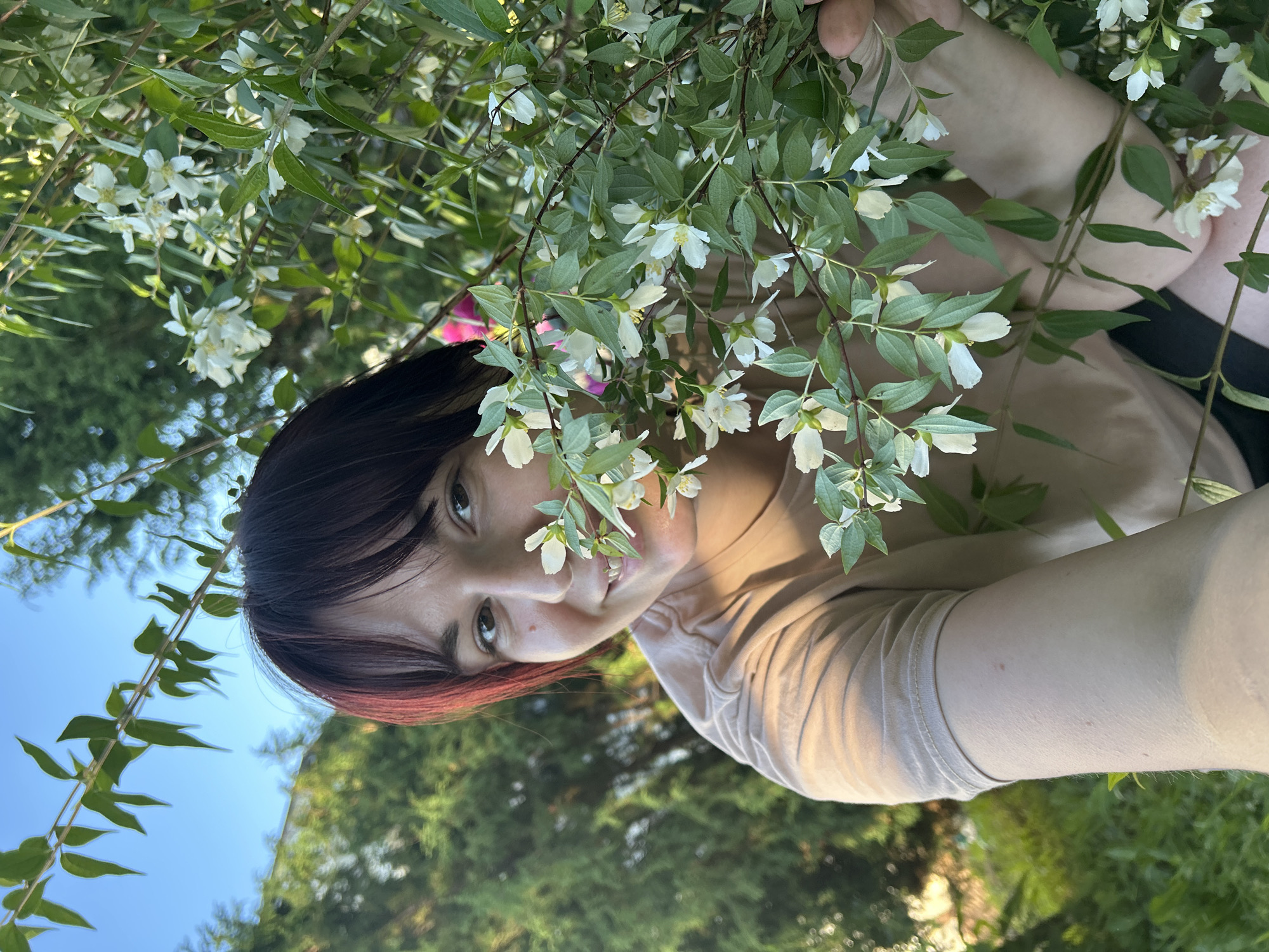 This is a portrait-oriented, close-up, eye-level shot of a young woman with dark hair, featuring some red highlights, leaning into a bush with small white flowers. She is looking towards the camera with a slight smile, her face partially obscured by the foliage. The woman is wearing a light-colored, possibly beige, t-shirt. The scene appears to be outdoors in a garden or park setting, with lush green foliage and a clear blue sky visible in the background. The lighting suggests it is daytime, likely late afternoon or early evening, given the warm tones and gentle shadows. The overall mood is relaxed and natural, with a focus on the woman's engagement with the surrounding nature. There is no visible text in the image. The photo is taken in Фоки, Russia.
