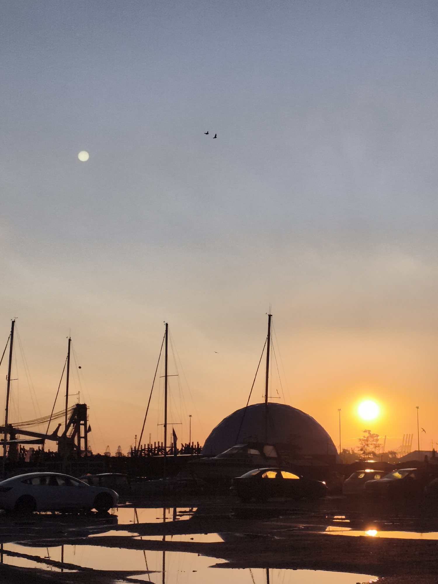 This vertical photograph captures a serene sunset scene at the former Gdańsk Shipyard in Gdańsk, Poland. The sky transitions from a pale blue at the top to a warm orange glow near the horizon, with the sun, a bright white orb, prominently positioned on the right. A faint, pale moon is visible in the upper left quadrant of the sky. Two small silhouettes of birds are flying in the upper center of the frame.
Dominating the mid-ground are the silhouettes of several sailboats, their tall masts reaching upwards. In front of the sailboats and slightly to the left, a large, domed structure, likely an industrial building, is partially visible. Further back, the silhouettes of cranes and other industrial structures of the shipyard are discernible against the colorful sky.
In the foreground, the dark silhouettes of several cars are parked on what appears to be wet or muddy ground. Puddles of water on the ground reflect the warm hues of the sunset and the lights from the distant industrial area. The scene suggests a quiet end to the day at this historic industrial site.