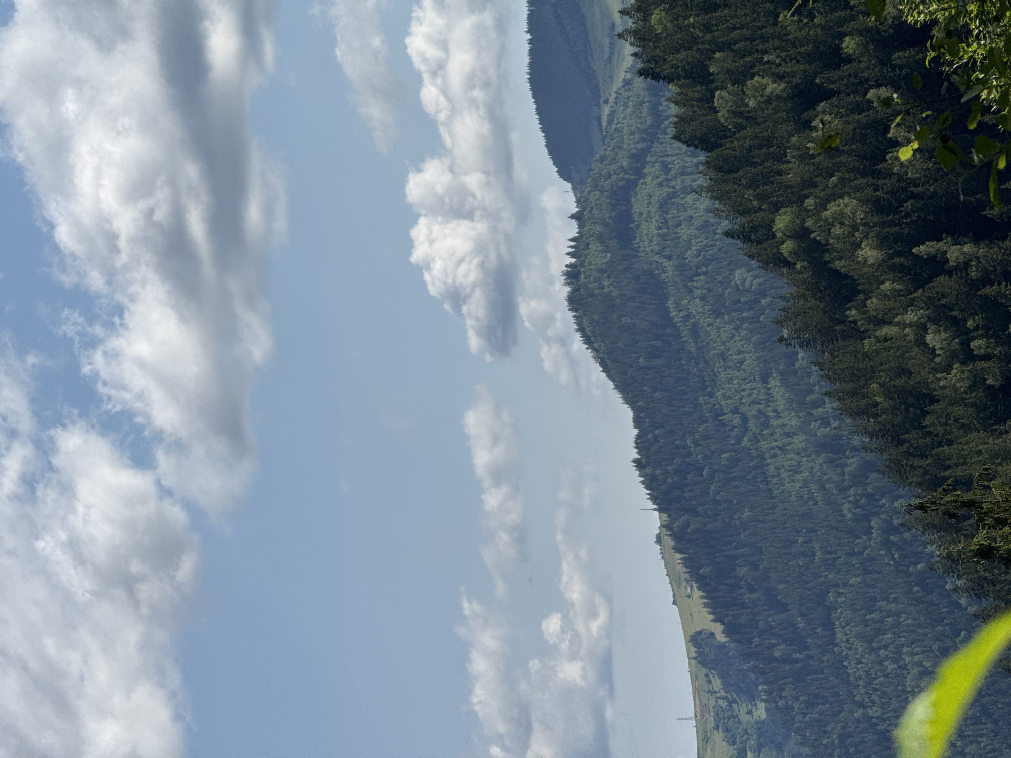 The image depicts a verdant, hilly landscape under a bright, partly cloudy sky. Rolling mountains covered in dense evergreen forests dominate the middle and lower portions of the frame. The trees are predominantly dark green, with some lighter green patches indicating deciduous trees or variations in foliage. The terrain slopes upwards, with one mountain crest more prominently featured in the foreground on the right, and another receding into the distance on the left.
On the upper slopes of the mountain on the left, there are areas of lighter green grass, suggesting meadows or clearings. A few distant, slender tower-like structures are visible on these higher elevations. The sky is a clear blue, with scattered, fluffy white clouds that cast soft shadows on the landscape.
In the very bottom left corner of the image, a blurred, bright green leaf or branch is partially visible, suggesting a foreground element intruding into the shot. The overall impression is one of natural beauty and expansive, untouched wilderness. The scene is devoid of any people or discernible human activity, focusing solely on the natural environment. The image is a landscape photograph taken from an elevated vantage point looking out over the mountainous terrain.