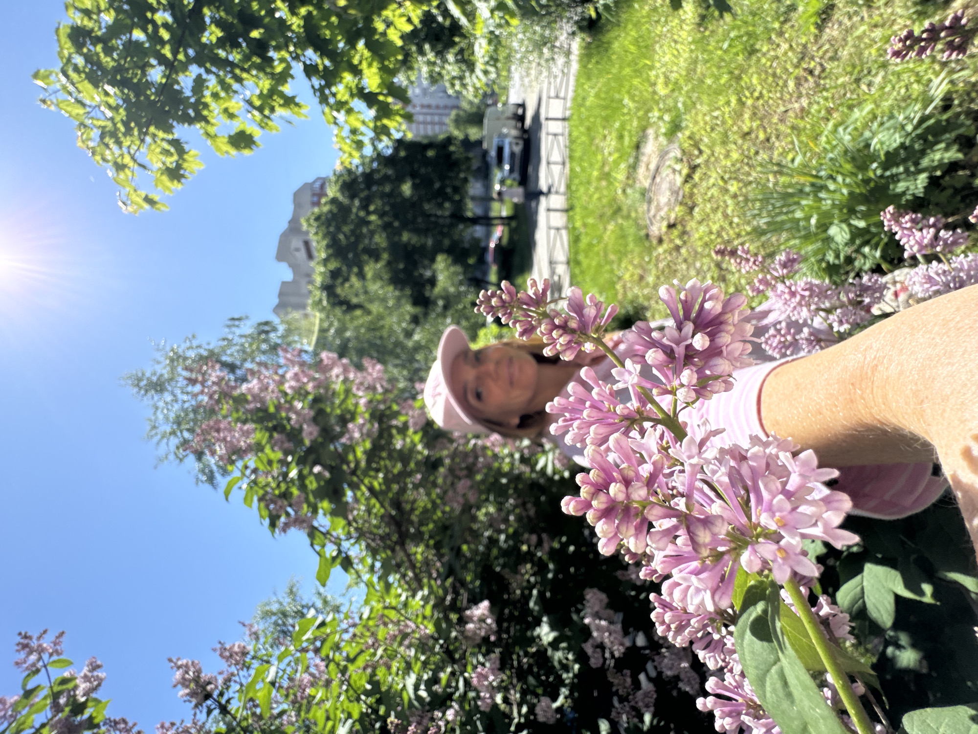 The photograph, taken in Saint Petersburg, Russia, captures a vibrant outdoor scene on a sunny day. The primary subject is a person, likely a woman, with a blurred face wearing a light pink baseball cap and a striped pink top. Her right arm is visible in the lower right foreground, positioned near clusters of light purple lilac flowers.
The image is composed from a low angle, looking upwards through the foliage and flowers towards a clear blue sky. A bright sun flare is visible in the upper left quadrant of the sky, indicating a sunny day, likely morning or late afternoon. Lush green leaves from trees frame the upper and left portions of the sky.
Prominent in the foreground and midground are numerous clusters of blooming lilac flowers, predominantly light purple and pink, with some green leaves. The person appears to be interacting with or posing near these flowers.
In the blurred background, there are hints of urban infrastructure. A paved path or sidewalk can be seen running horizontally across the mid-ground, with green grassy areas on either side. Beyond the path, distant multi-story buildings are visible through the trees, suggesting an urban or park setting within a city. The overall atmosphere conveyed is bright and pleasant. There is no visible text in the image.
