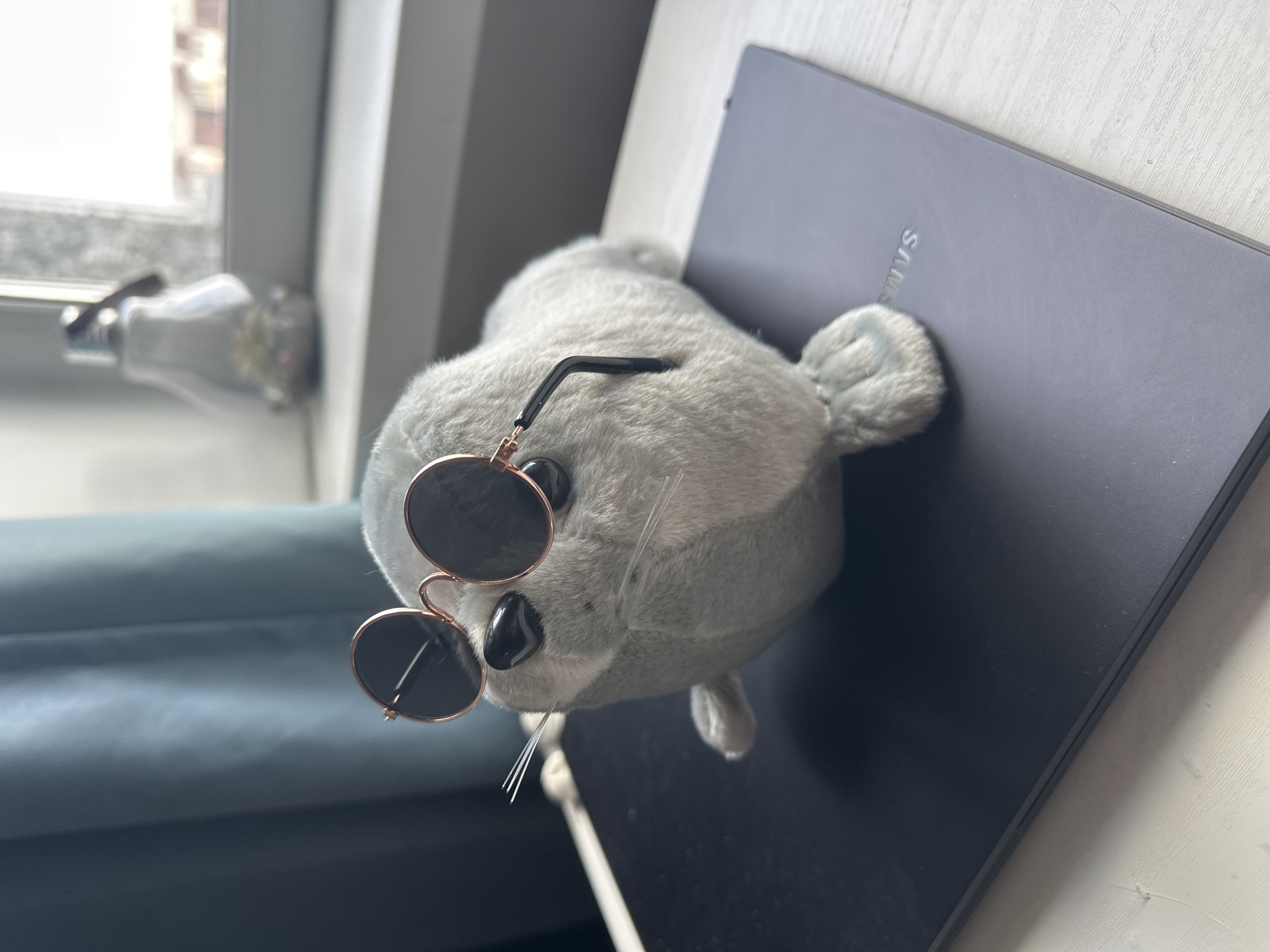 The image presents a light grey plush seal toy, prominently featured wearing small, round, dark sunglasses with rose gold frames. The seal is positioned on a dark grey Samsung laptop, which lies flat on a light-colored, possibly wooden, surface. The "SAMSUNG" logo is clearly visible on the laptop's lid.
To the left of the seal and laptop, a window allows bright daylight into the room. Outside the window, a blurred background suggests an urban or residential building. A white, decorative object, possibly a small vase, is partially visible on the window sill. In the further background, a soft, blurred blue-grey shape hints at furniture or curtains. The scene is indoors, likely a domestic setting, captured during the daytime in Krasnoyarsk, Russia. There is no explicit activity, but rather a still life composition featuring the toy and electronic device.