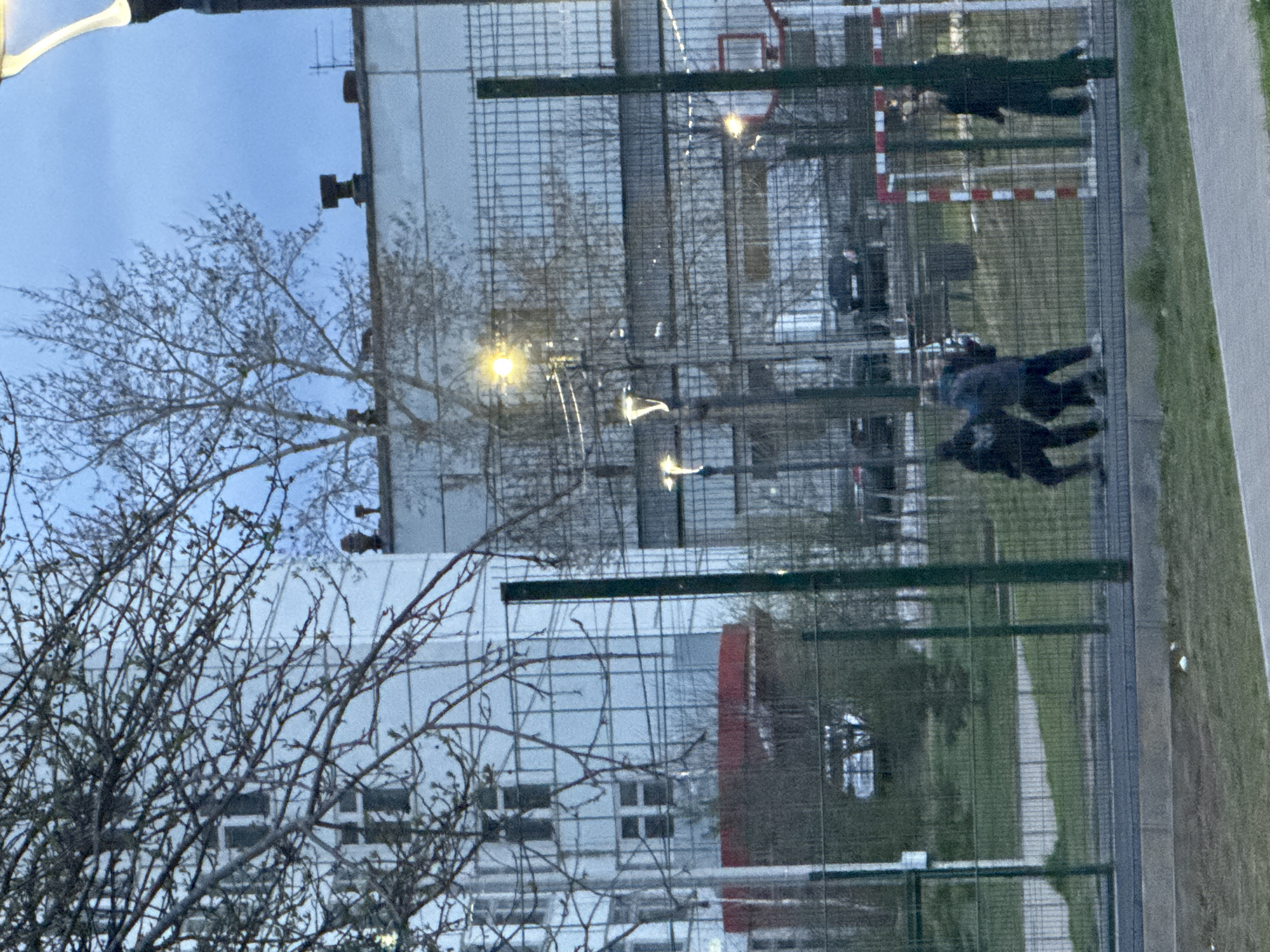 This image captures an outdoor scene, likely a sports ground or recreational area, in an urban or semi-urban setting in Chaikovsky, Russia. The time of day appears to be twilight or early evening, characterized by a muted blue sky and the illumination of a prominent yellow street light, indicating the onset of darkness.
A dark green mesh fence with horizontal crossbars dominates the mid-ground, partially obscuring the view of the activity beyond. To the right of the fence, a paved path or sidewalk runs alongside a strip of green grass.
Behind the fence, on what appears to be a playing field or court, several individuals are visible. At least four to five people, dressed in dark clothing, are discernible. One individual is near a red and white striped goal post on the right side of the field, while others are more centrally located. Their postures suggest they are engaged in some form of activity, possibly a casual game or social gathering.
Leafless trees with intricate, bare branches are scattered throughout the foreground and mid-ground, some appearing in front of the buildings in the background. Their lack of foliage suggests the season is late autumn, winter, or early spring.
In the background, several large, light-colored buildings with multiple windows are visible, appearing to be institutional or residential structures. The overall scene depicts a functional, everyday environment. No visible text or clear emotions are discernible in the image.