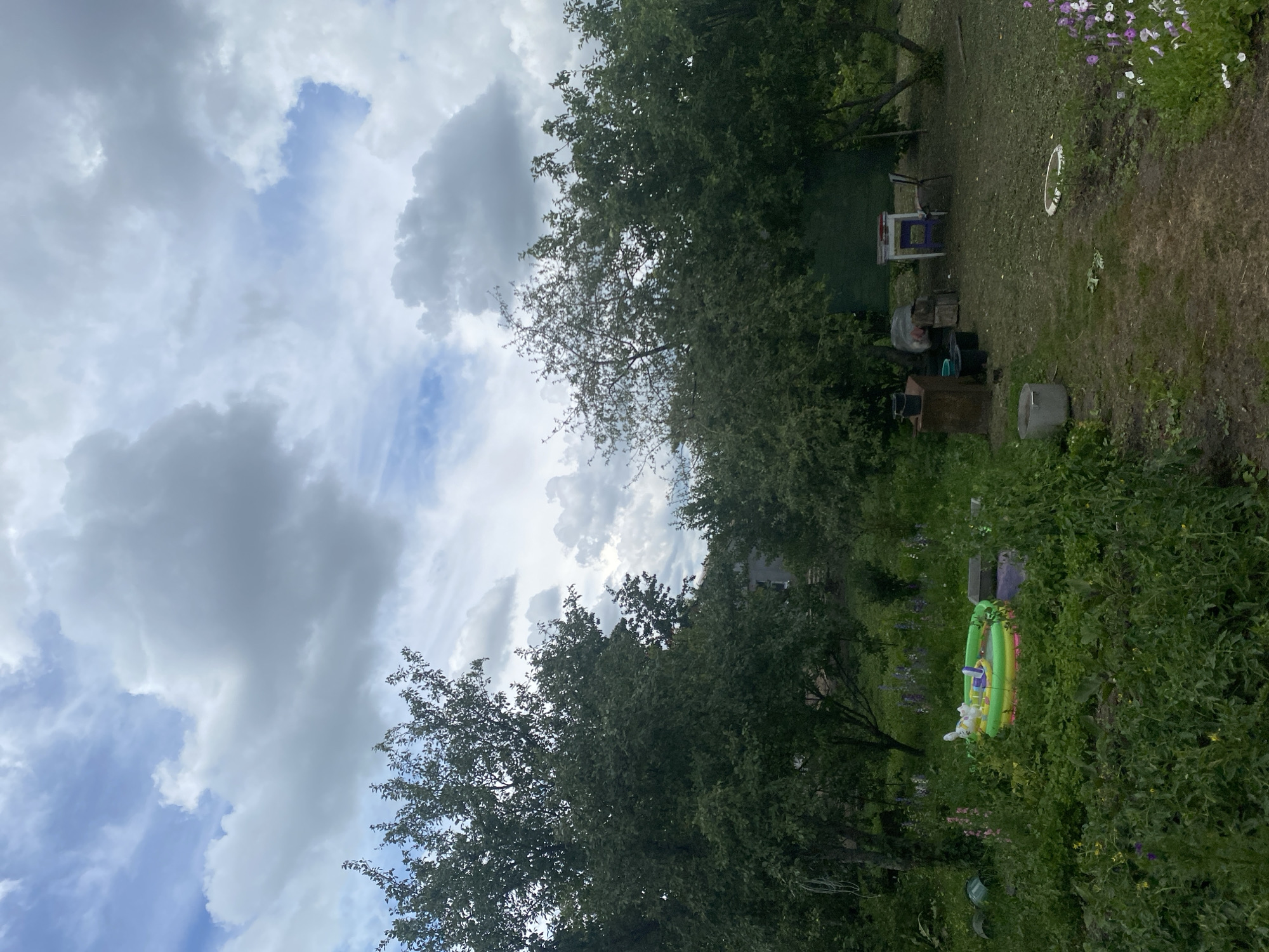 This image depicts an outdoor scene, likely a backyard or garden area, under a cloudy sky. In the foreground, lush green foliage dominates, with various plants and some wildflowers visible, including purple lupine. To the left, a small, inflatable kiddie pool with a colorful pattern is situated amongst the greenery. In the midground, several trees with dense foliage are present. Further back, a clearing reveals a few objects including a rustic table with a chair and a couple of buckets or containers. A building, possibly a house, is partially visible through the trees in the background. The overall impression is one of a slightly unkempt but lived-in outdoor space. The location is identified as Marinopil, Ukraine.