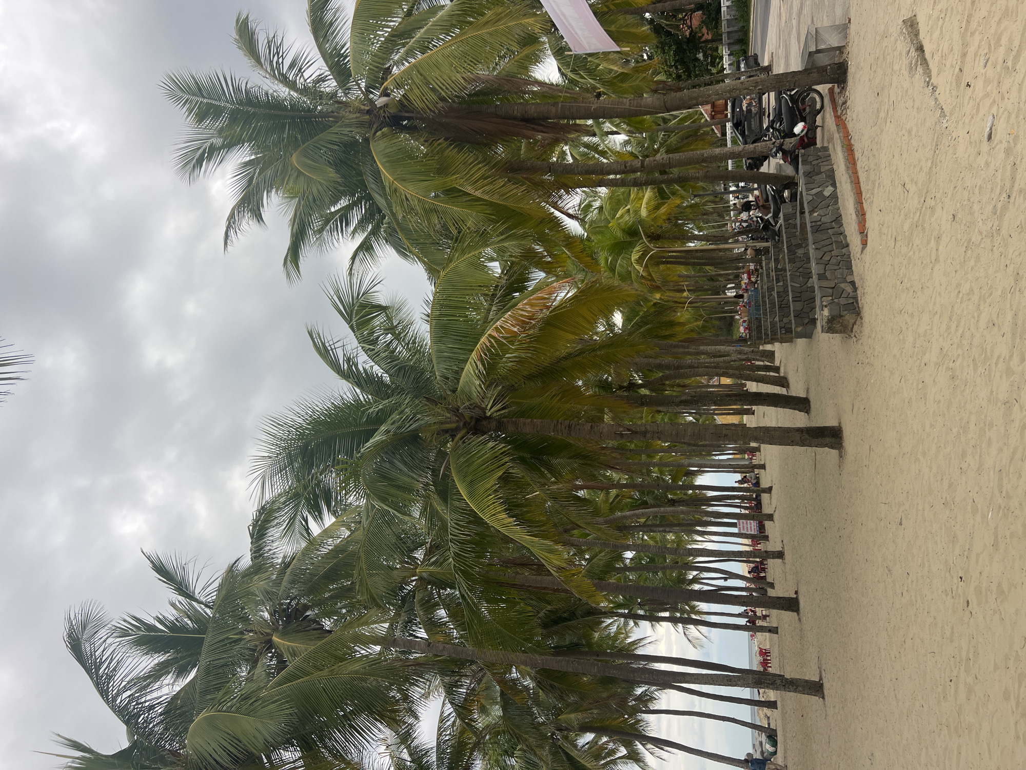 This image shows a beach in Hoi An, Vietnam, with a dense line of palm trees separating the sandy beach from a paved area. The sky is overcast with clouds. On the beach, there are several red plastic chairs and tables, suggesting a seating area for beachgoers. In the background, further down the beach, more people are visible sitting and socializing.
Adjacent to the palm trees and the beach, there's a paved walkway or road. Parked along this area are several motorbikes and a dark-colored SUV. A low stone wall with a brick trim runs along the edge of the paved area, separating it from the sand. A lamppost is also visible among the trees. In the far right of the image, a white banner with pink text is partially visible, attached to a pole. The overall scene depicts a populated beach area in Hoi An, with amenities for visitors and common modes of transportation.