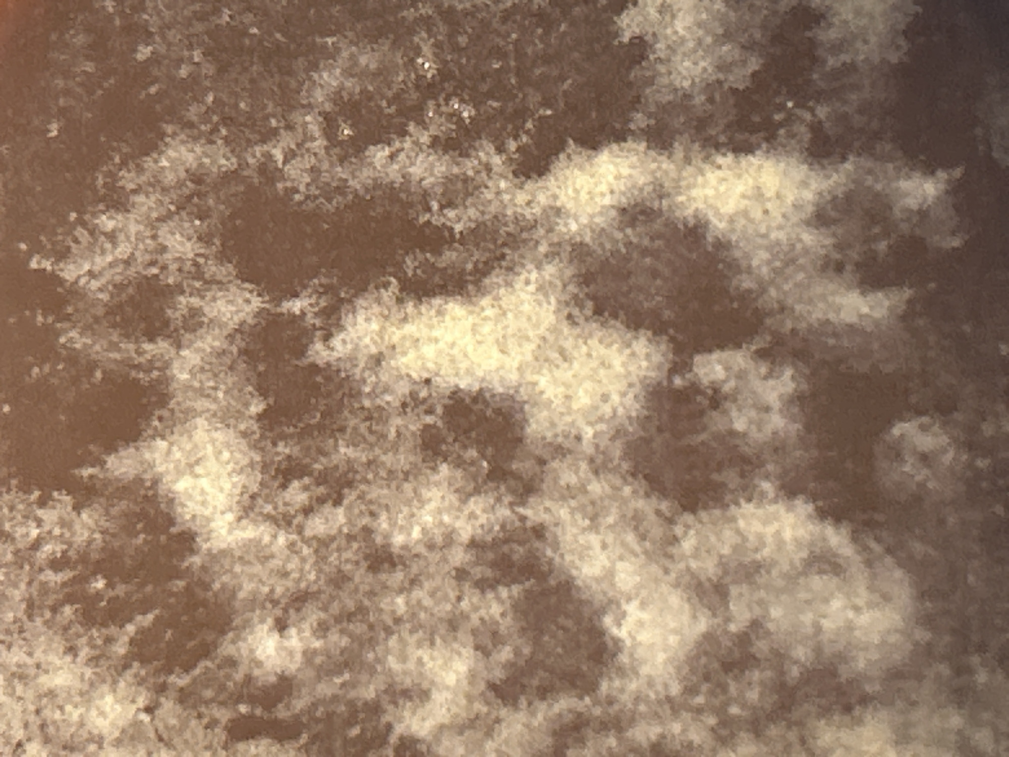 The image depicts a close-up view of a surface, possibly a liquid or solid with a mottled texture. The color palette is dominated by varying shades of brown and off-white. The off-white portions appear to be distributed irregularly across the brown background, creating a pattern reminiscent of clouds or sediment. The texture appears granular or particulate. There is no immediately discernible information linking the image to Burgas, Bulgaria, people, subjects, objects, actions, or interactions beyond the textural elements.