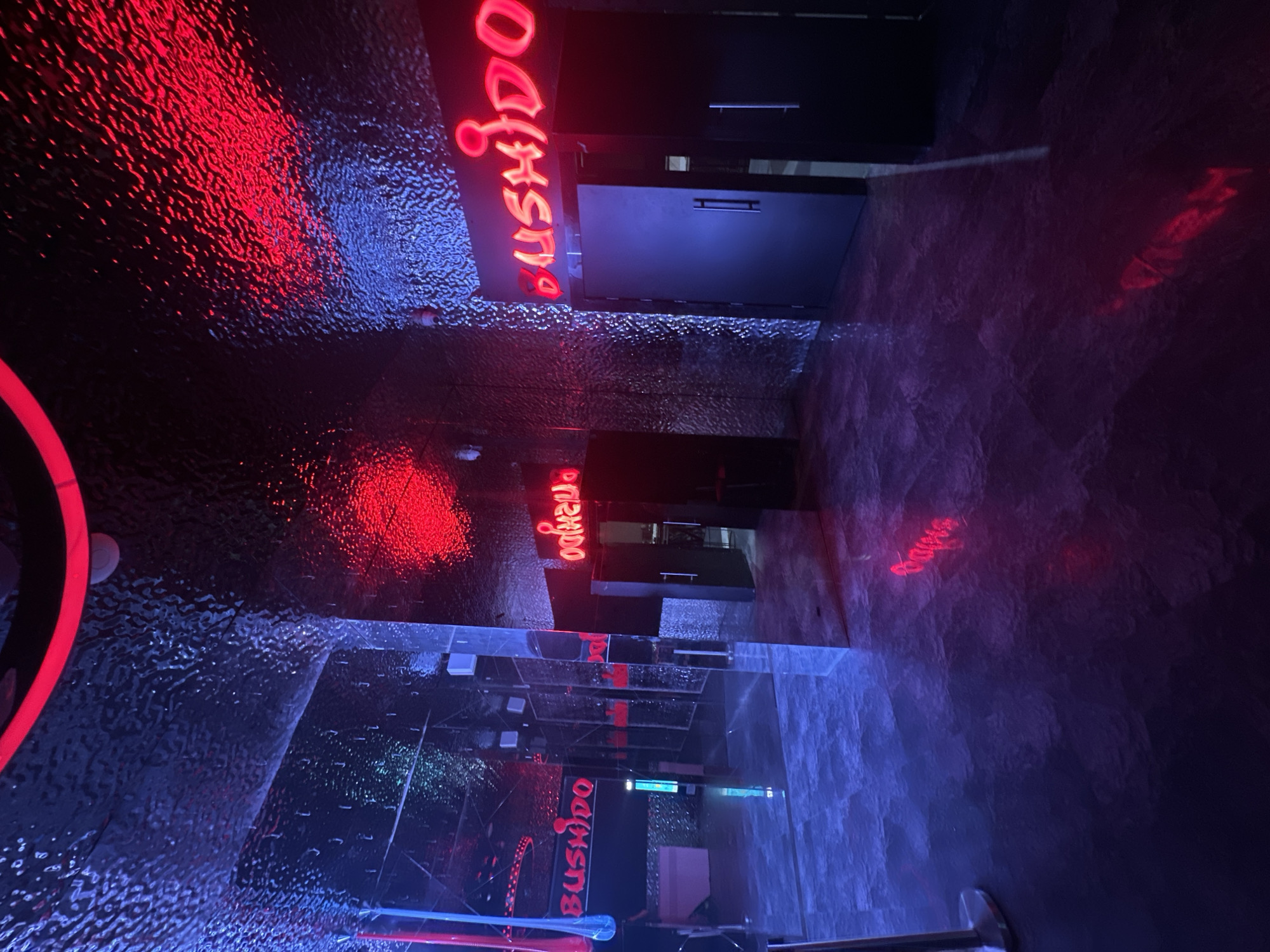 The image shows an indoor hallway, illuminated with red and blue neon lights. The hallway features a mirrored wall on the left, reflecting the red neon sign "BUSHIDO" above a door. The floor is dark and textured, possibly stone or tile. The ceiling is low and also dark, with what appears to be a ventilation unit or storage cabinet. The right wall is dimly lit with a purplish-blue hue, suggesting a textured surface. The perspective suggests the photo was taken near a doorway or entrance to the hallway. Based on the "BUSHIDO" signage, the location may be a bar or club, possibly in Plovdiv, Bulgaria. There are no people visible in the image.