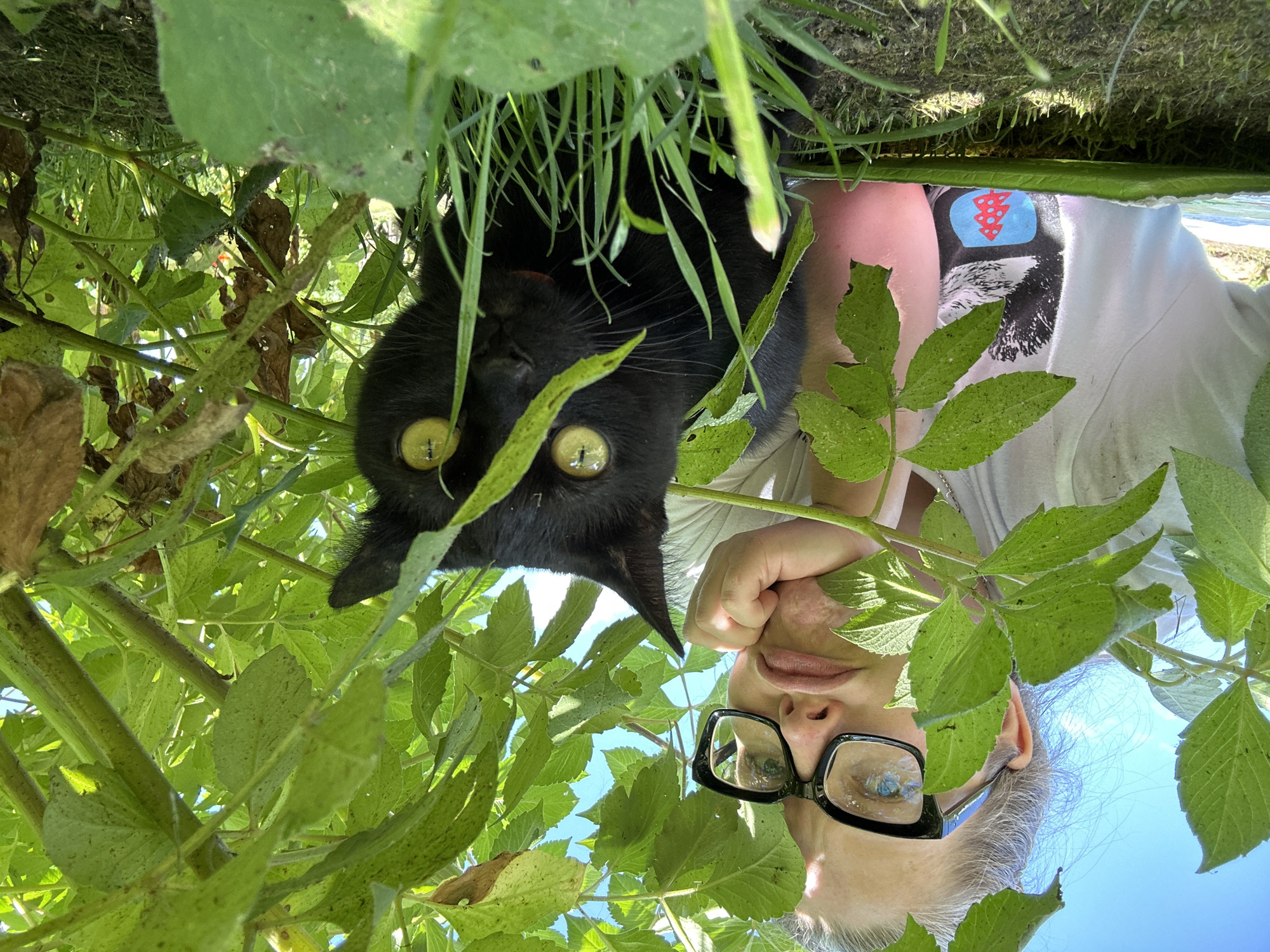 In Kalitsino, Russia, a black cat with striking yellow eyes is nestled amongst lush green foliage, its face partially obscured by leaves. To the left, a young woman wearing black-rimmed glasses and a white t-shirt with a graphic print is visible, resting her chin on her hand. She appears to be looking at the camera with a pout. The environment suggests an outdoor setting, possibly a garden or park, with bright sunlight filtering through the leaves, casting shadows and highlighting the textures of the plants and grass. The woman is seated, and the cat is at a lower level, creating a sense of depth within the frame.