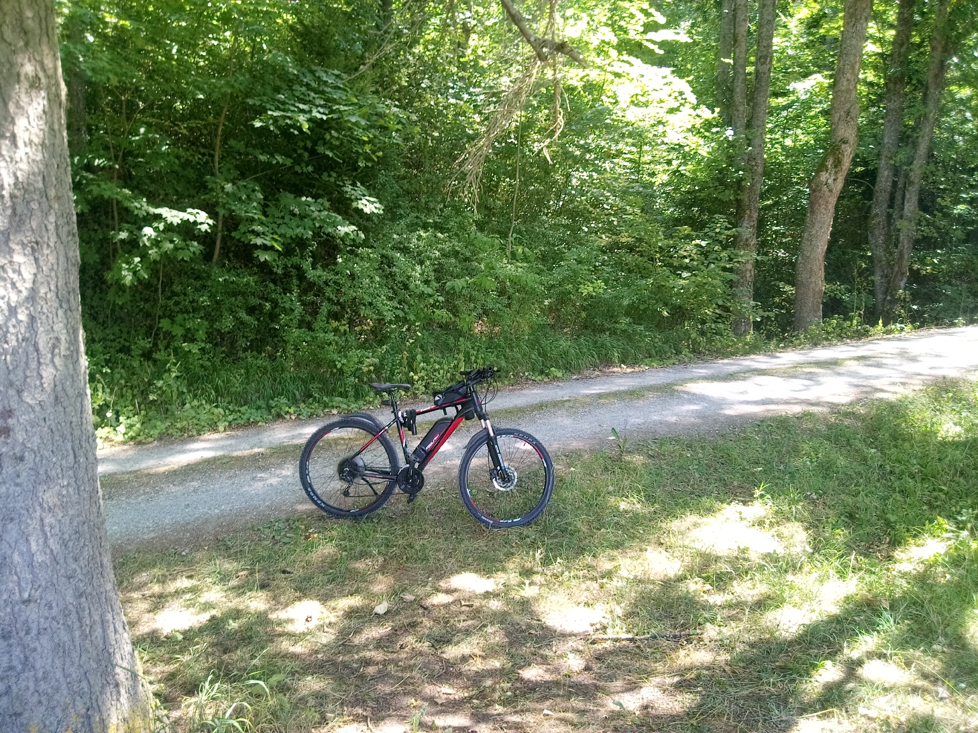 A red and black electric bicycle is parked on the grass next to a gravel path in a wooded area. The bicycle has a battery pack mounted on the frame and a small bag attached to the handlebars. The path runs alongside a dense green forest with tall trees. Sunlight filters through the leaves, casting dappled shadows on the ground. The scene appears to be a peaceful outdoor setting, likely a park or recreational area within or near the city of Rottweil, Germany, given the context provided. There are no people visible in the image.