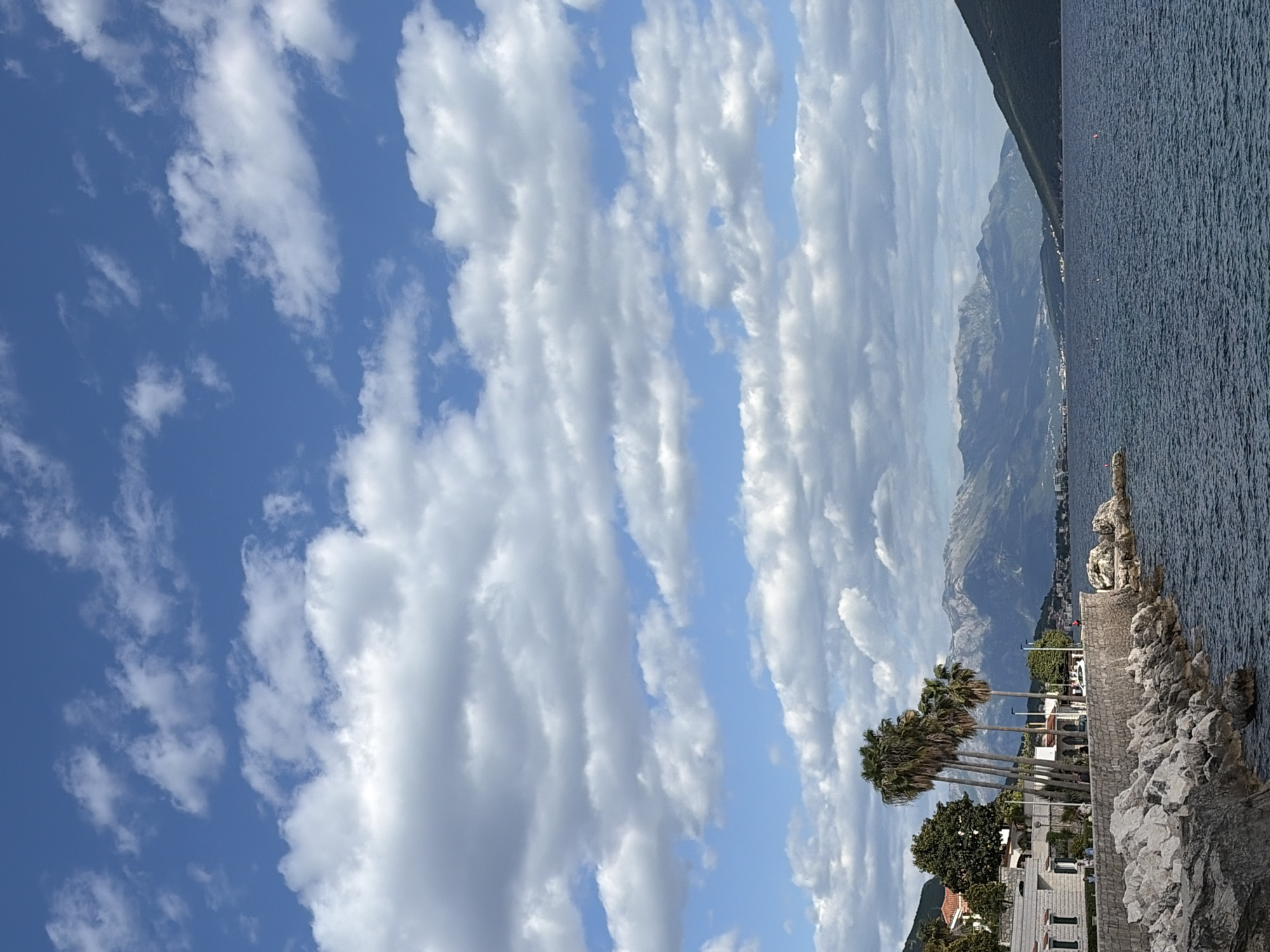 The image shows a coastal scene in Herceg Novi, Montenegro. The right side of the image features the Adriatic Sea, with a dark blue surface and a rocky coastline. A breakwater constructed of light gray rocks is present. A row of tall palm trees lines the coast, and behind them are buildings and houses. In the background, mountains rise, fading into a lighter gray hue due to distance. The sky occupies the left side of the image, filled with fluffy, white clouds set against a blue background. The image has a vertical orientation.