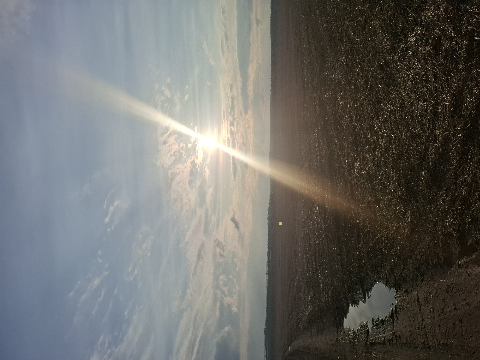 The image shows a field at sunset in Khlevnoye, Russia. The sun, with a strong glare, is positioned in the sky amidst sparse clouds. The field is brown and appears recently tilled or harvested, with some standing vegetation. A puddle reflects the sky. The image is rotated, with the sky on the left side.