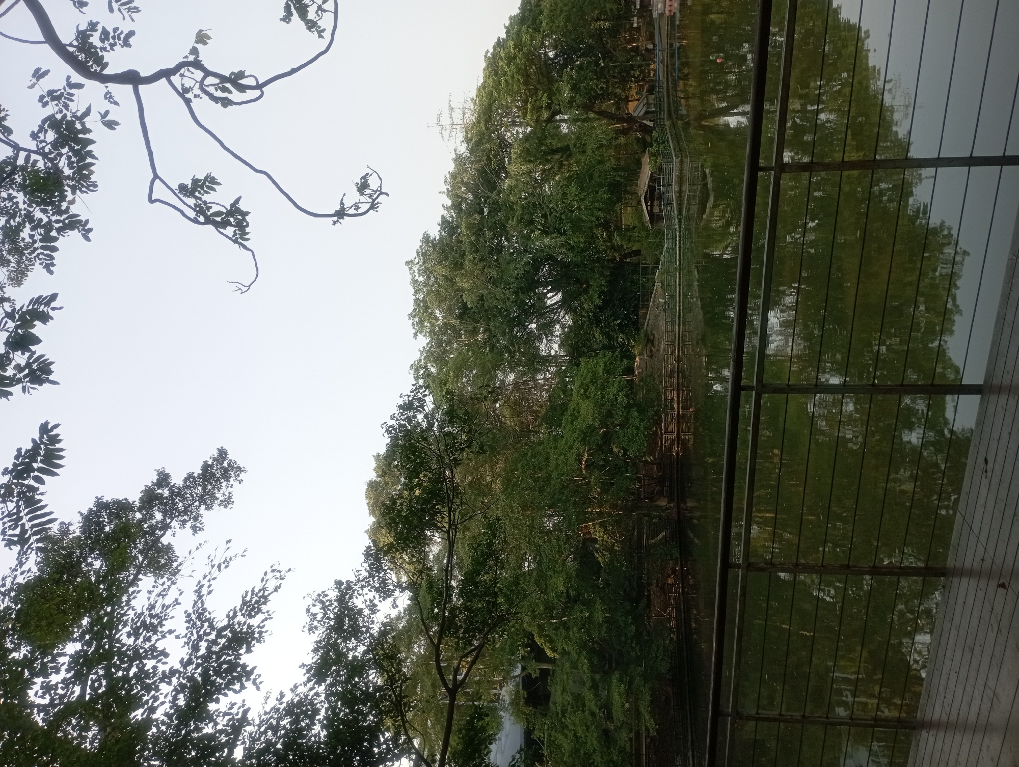 The image depicts a scenic view of a tranquil lake surrounded by lush greenery in Depok, Indonesia. The foreground features a wooden deck with a metal railing overlooking the water. The lake's surface reflects the trees and sky, creating a serene and picturesque atmosphere. In the background, a small hut with a thatched roof is visible, nestled amongst the trees. The overall scene suggests a peaceful retreat or park, likely a popular spot for locals and tourists seeking relaxation and nature.