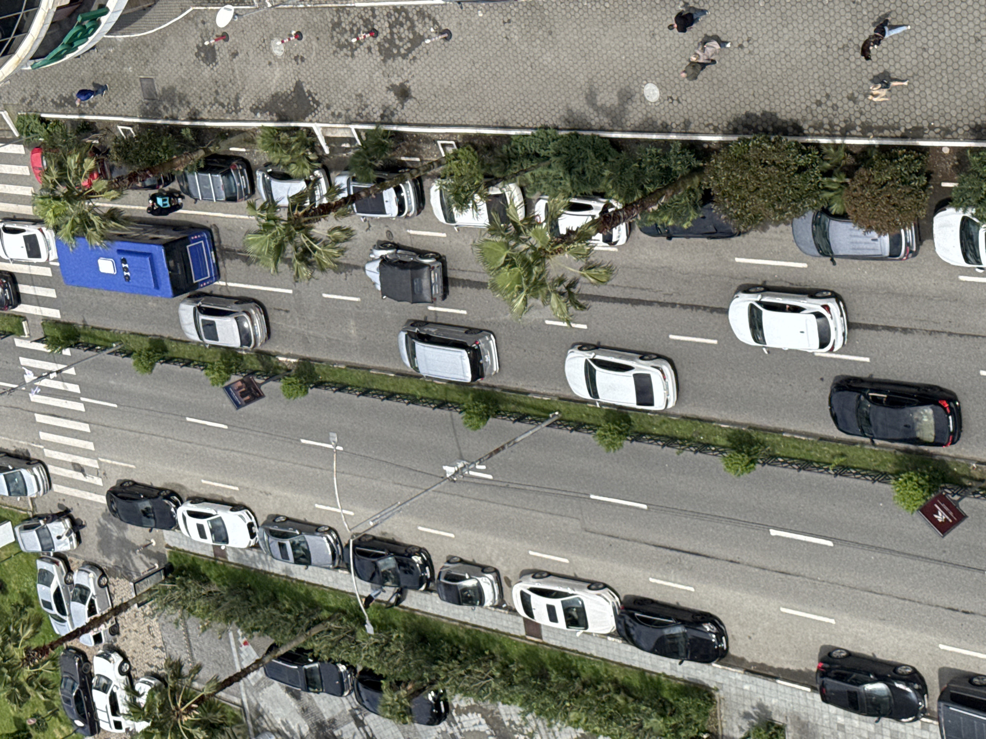 The image shows an aerial view of a street in Batumi, Georgia. The street has multiple lanes of traffic with parked cars along both sides. There are palm trees and other greenery along the sidewalks. The road features a mix of black, white, and gray cars along with a blue bus. There are also pedestrians visible on the sidewalk.