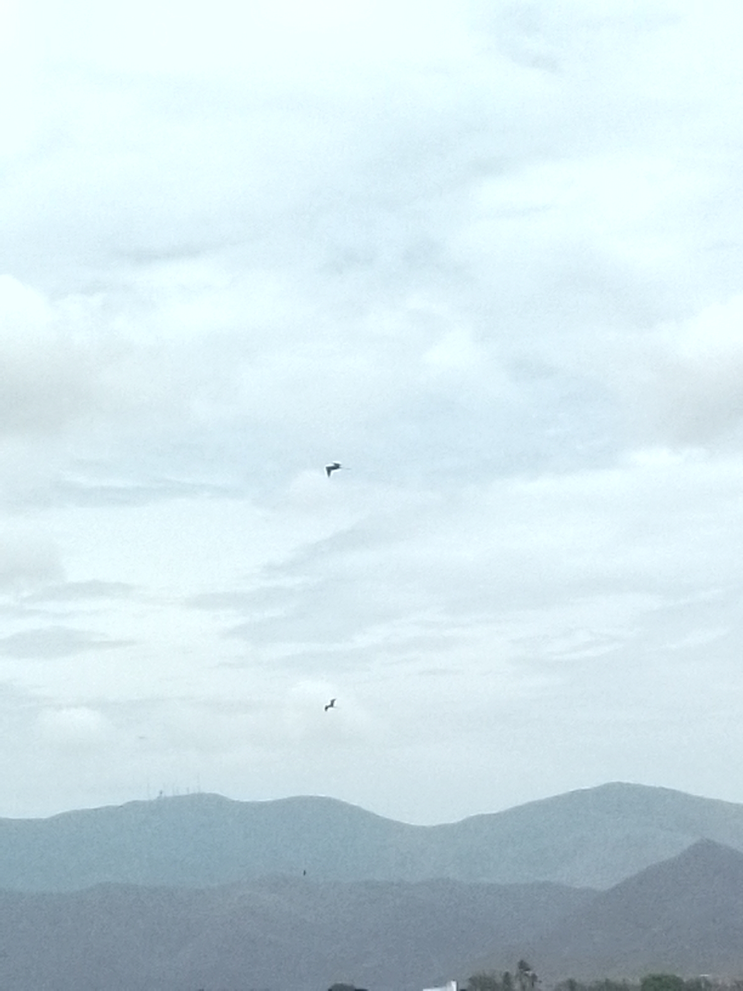 The image shows a view of mountains under a cloudy sky. Two birds are visible in the sky. The location is Juan Griego, Venezuela.